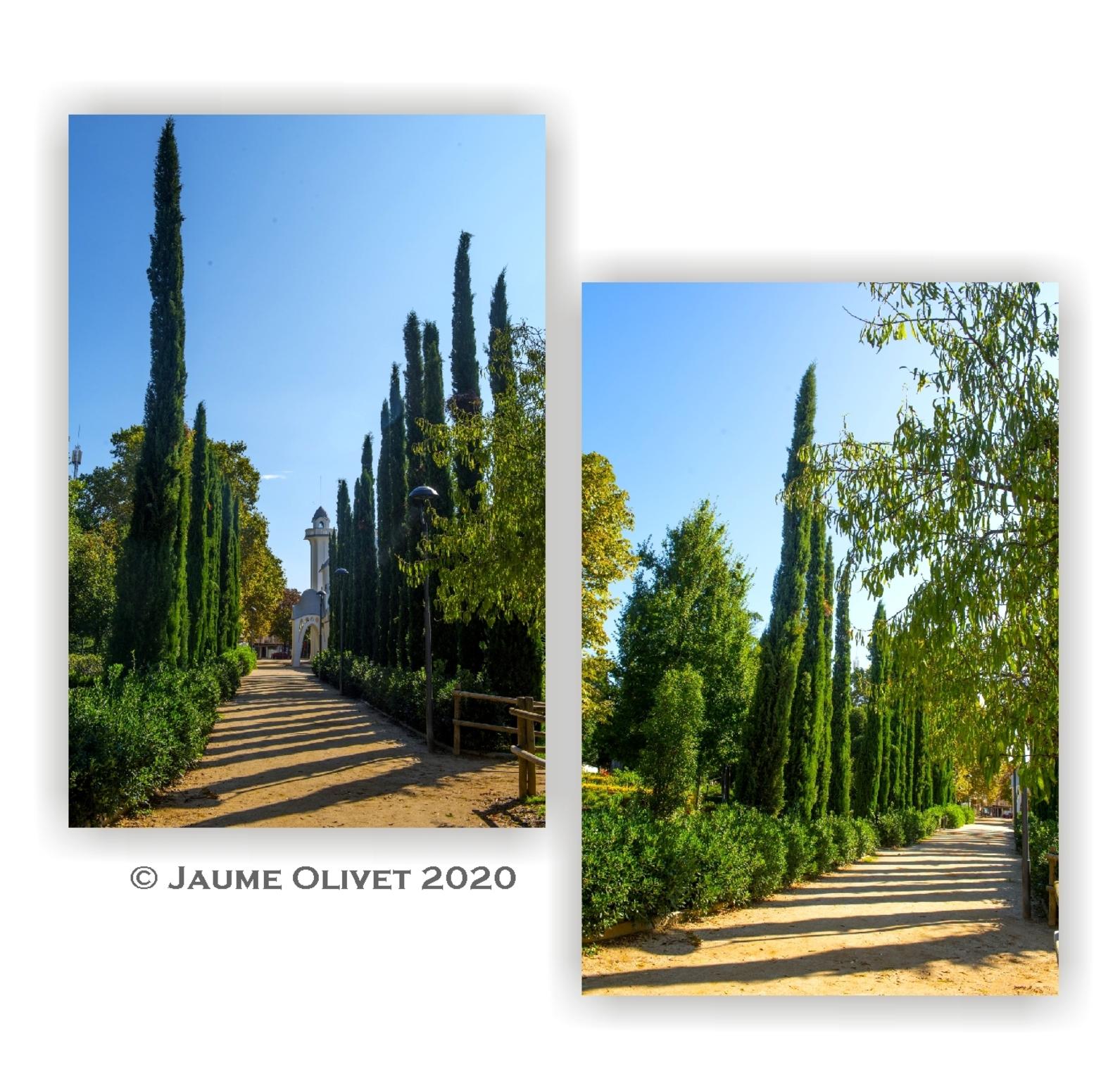  Jaume Olivet 2020
