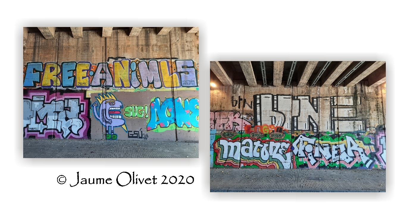  Jaume Olivet 2020