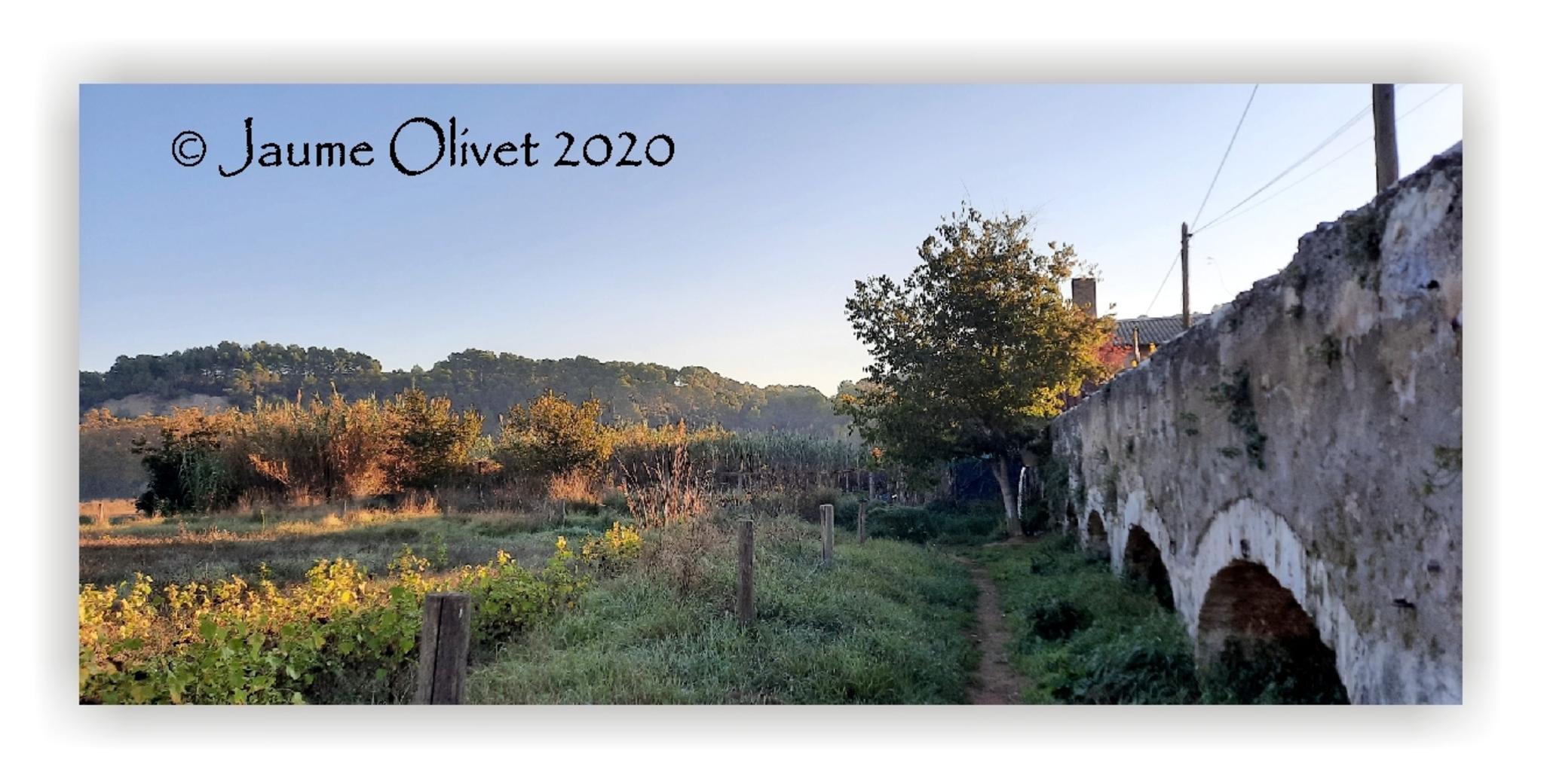  Jaume Olivet 2020