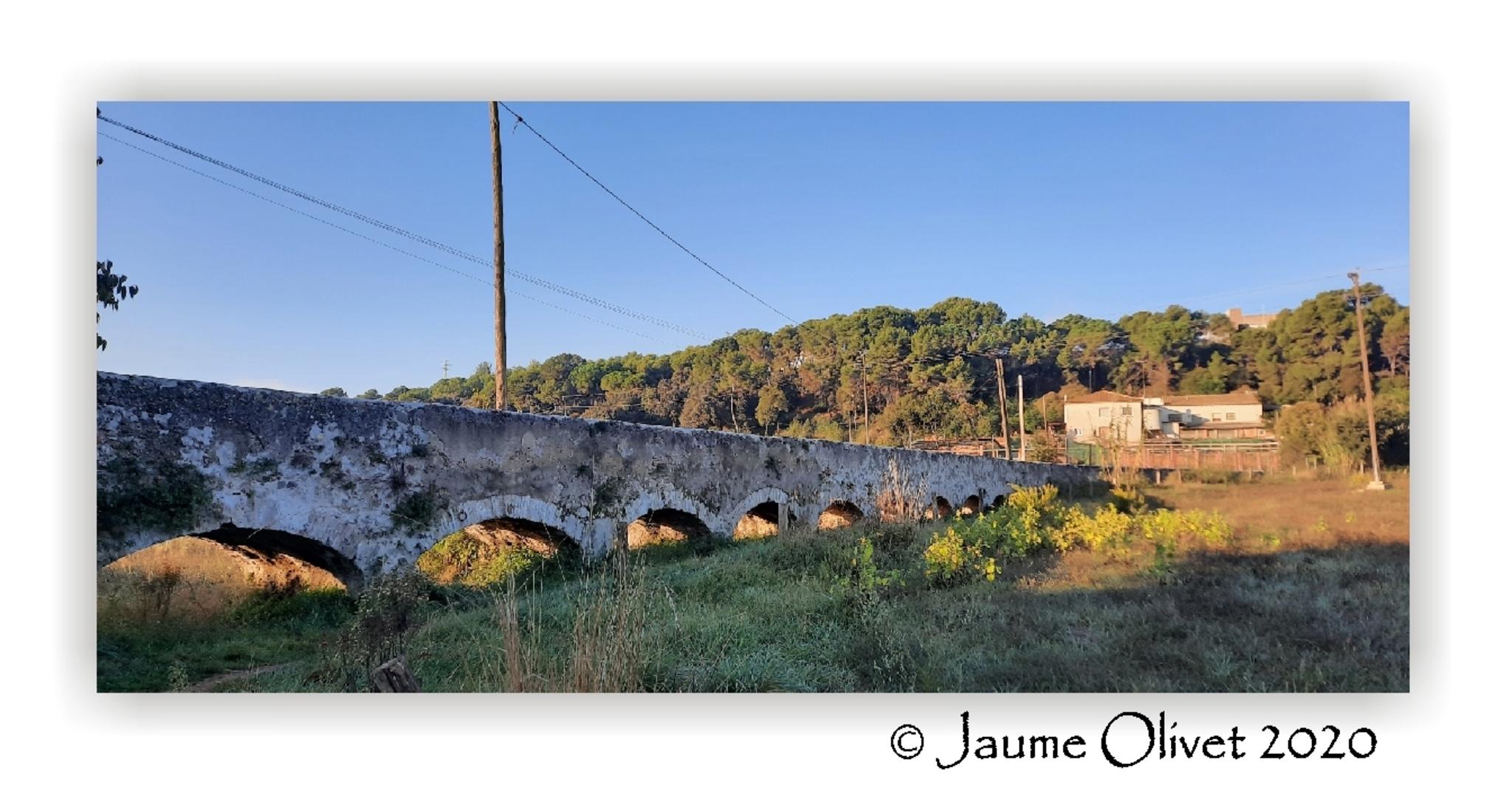 Jaume Olivet 2020