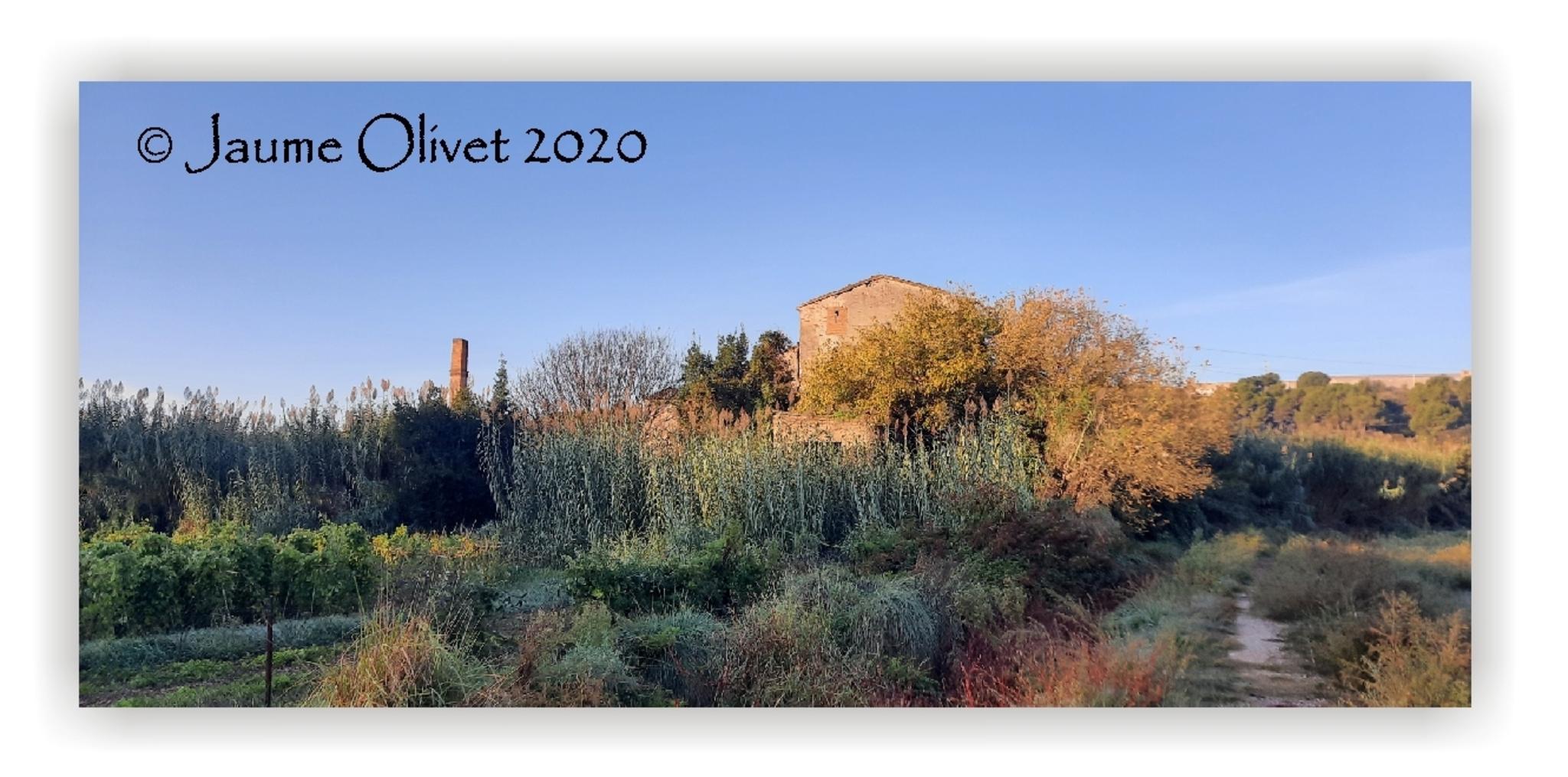  Jaume Olivet 2020