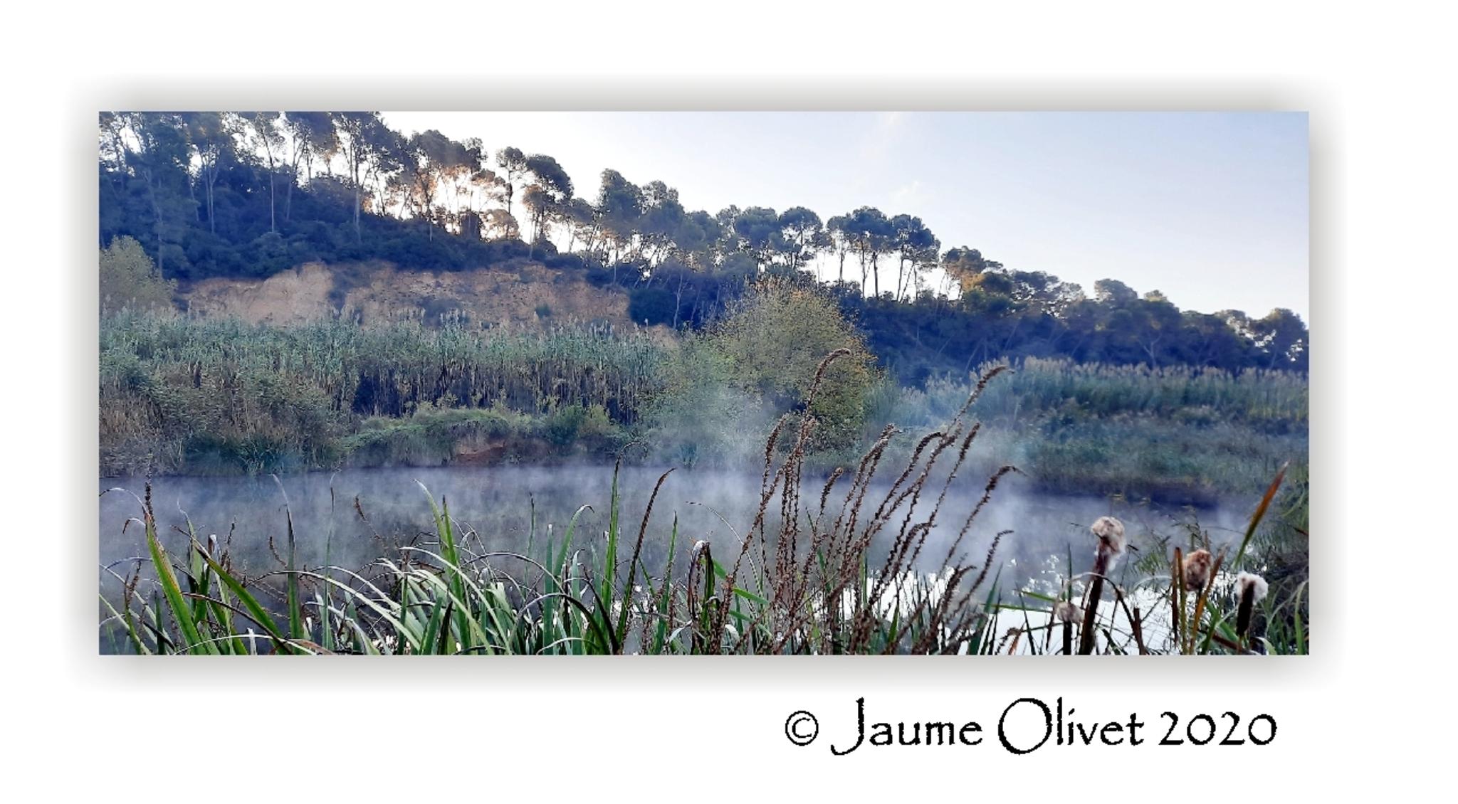  Jaume Olivet 2020