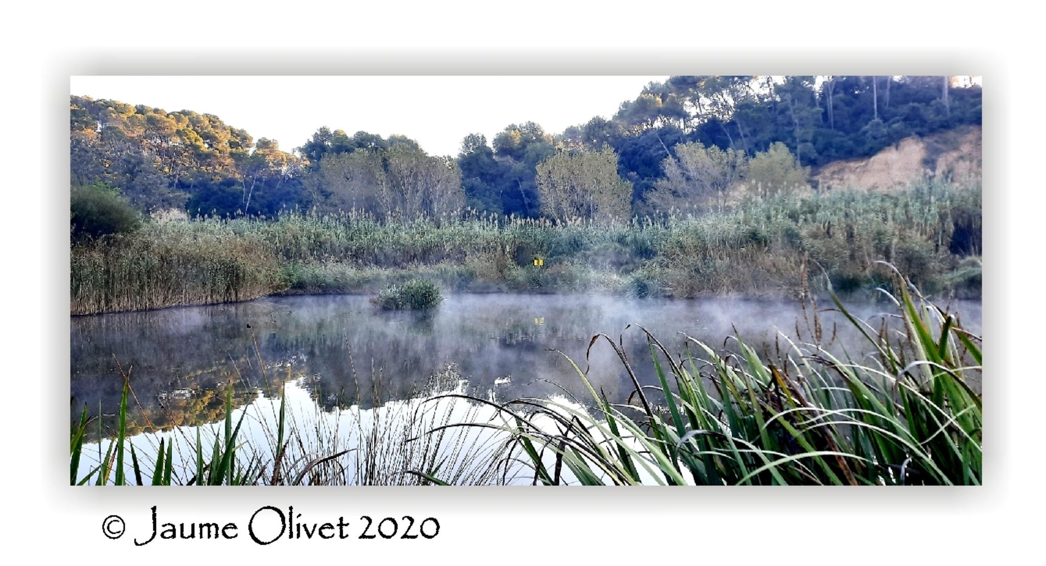  Jaume Olivet 2020