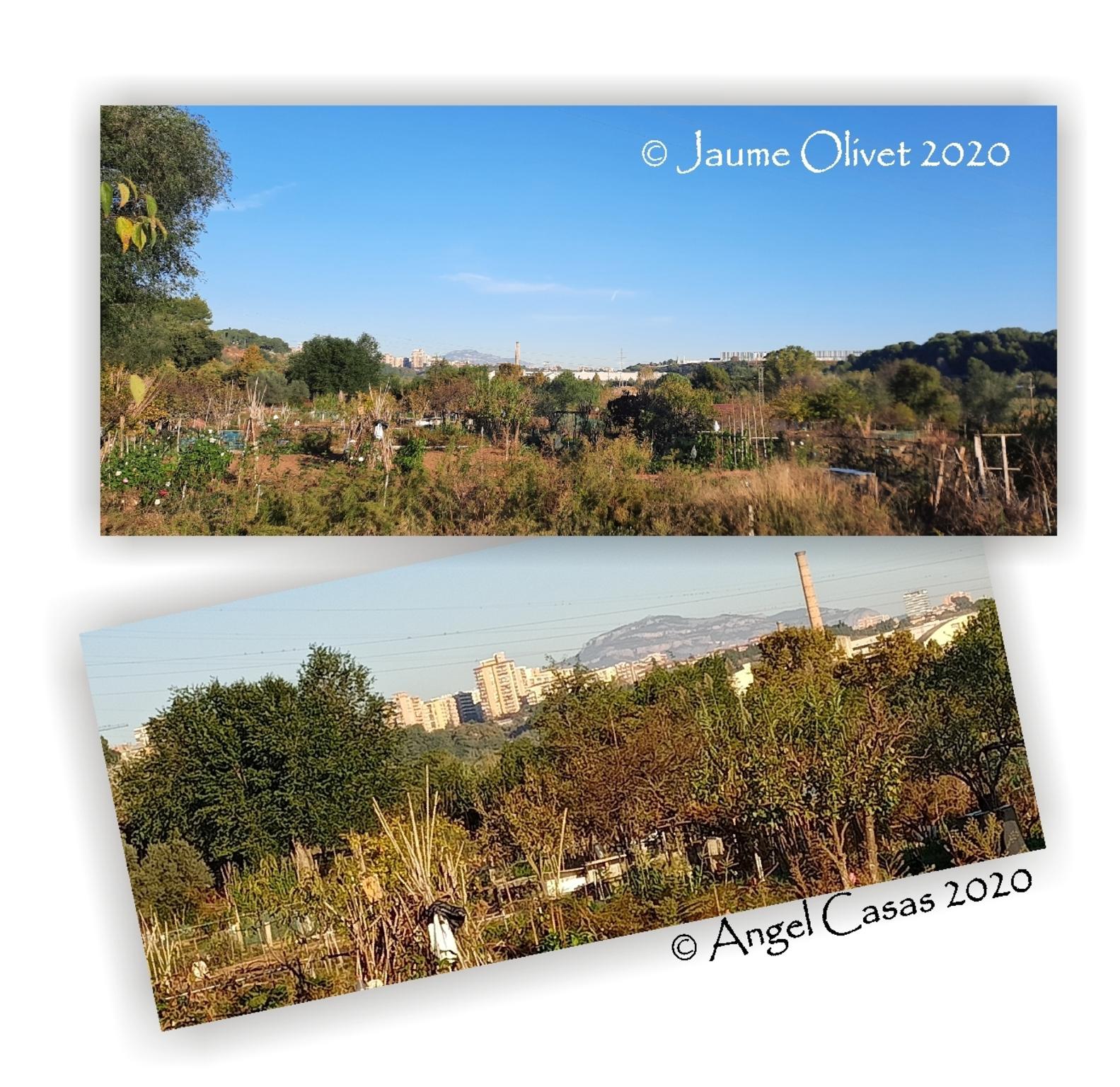 Jaume Olivet 2020
