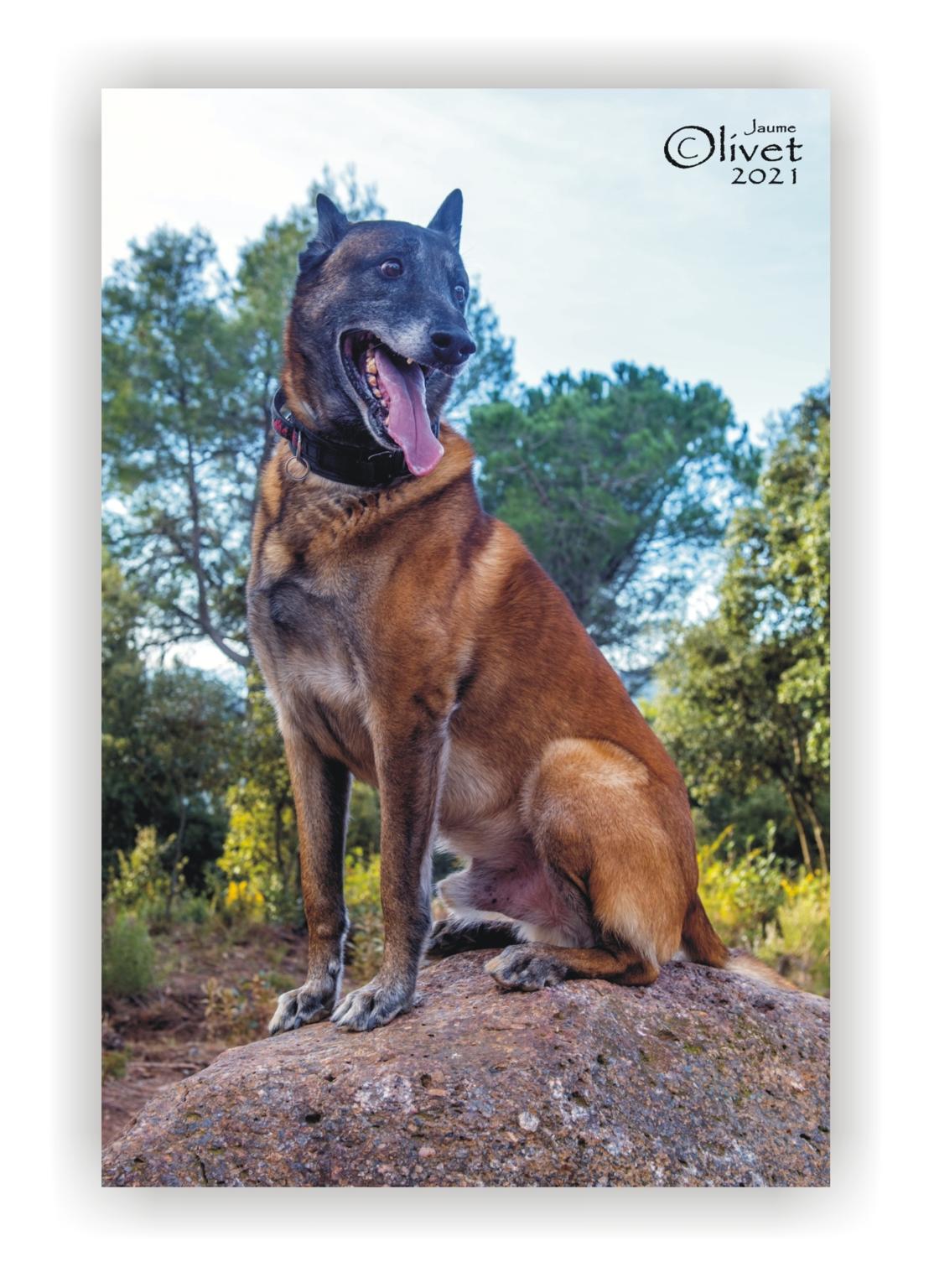  Jaume Olivet 2021