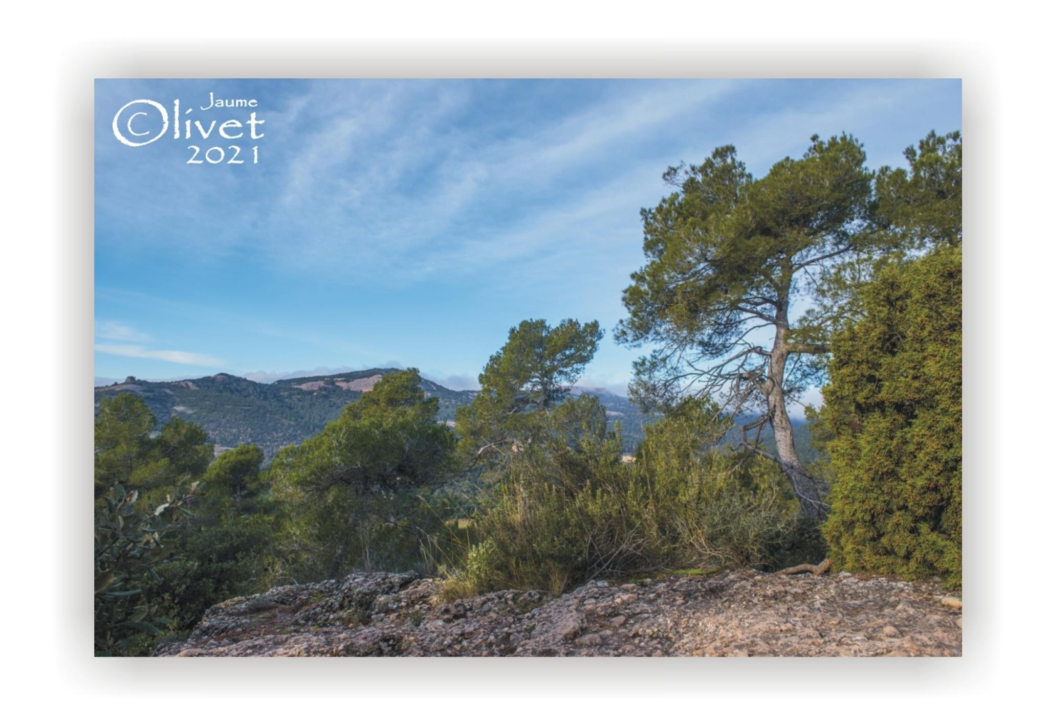  Jaume Olivet 2021