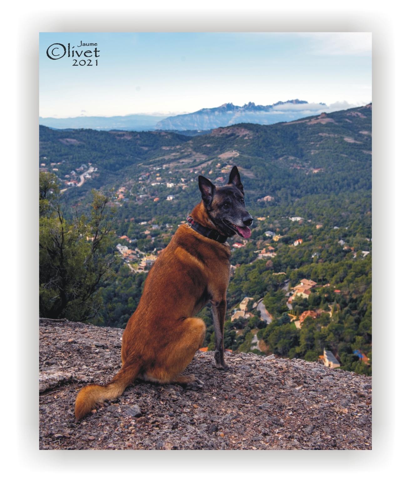  Jaume Olivet 2021