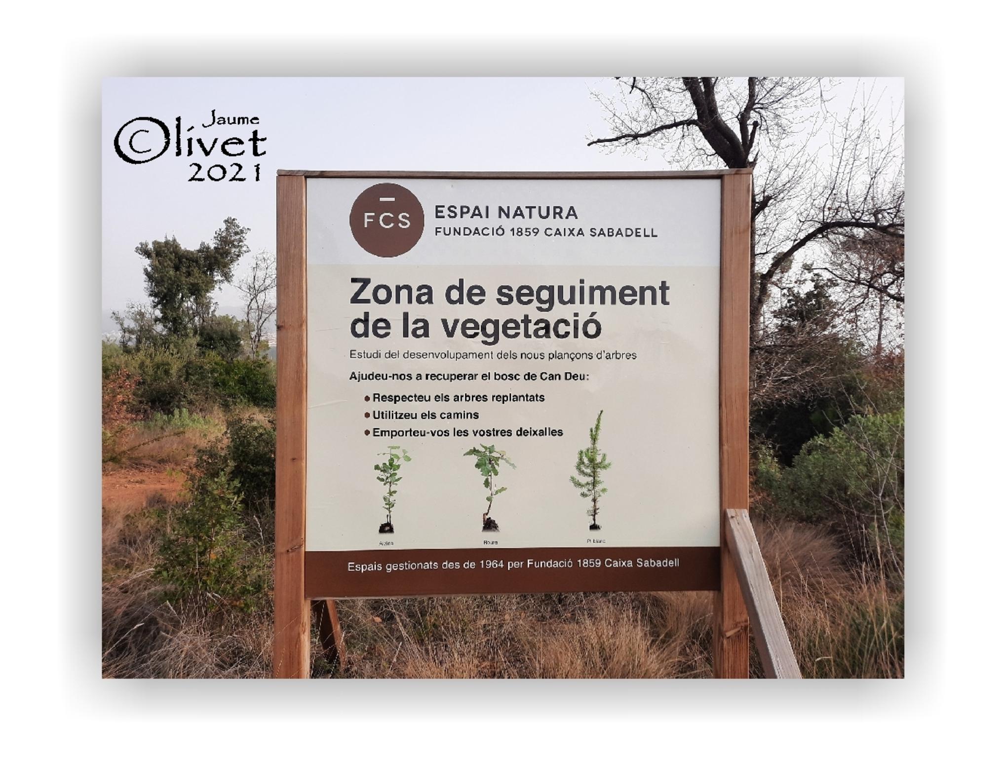  Jaume Olivet 2021