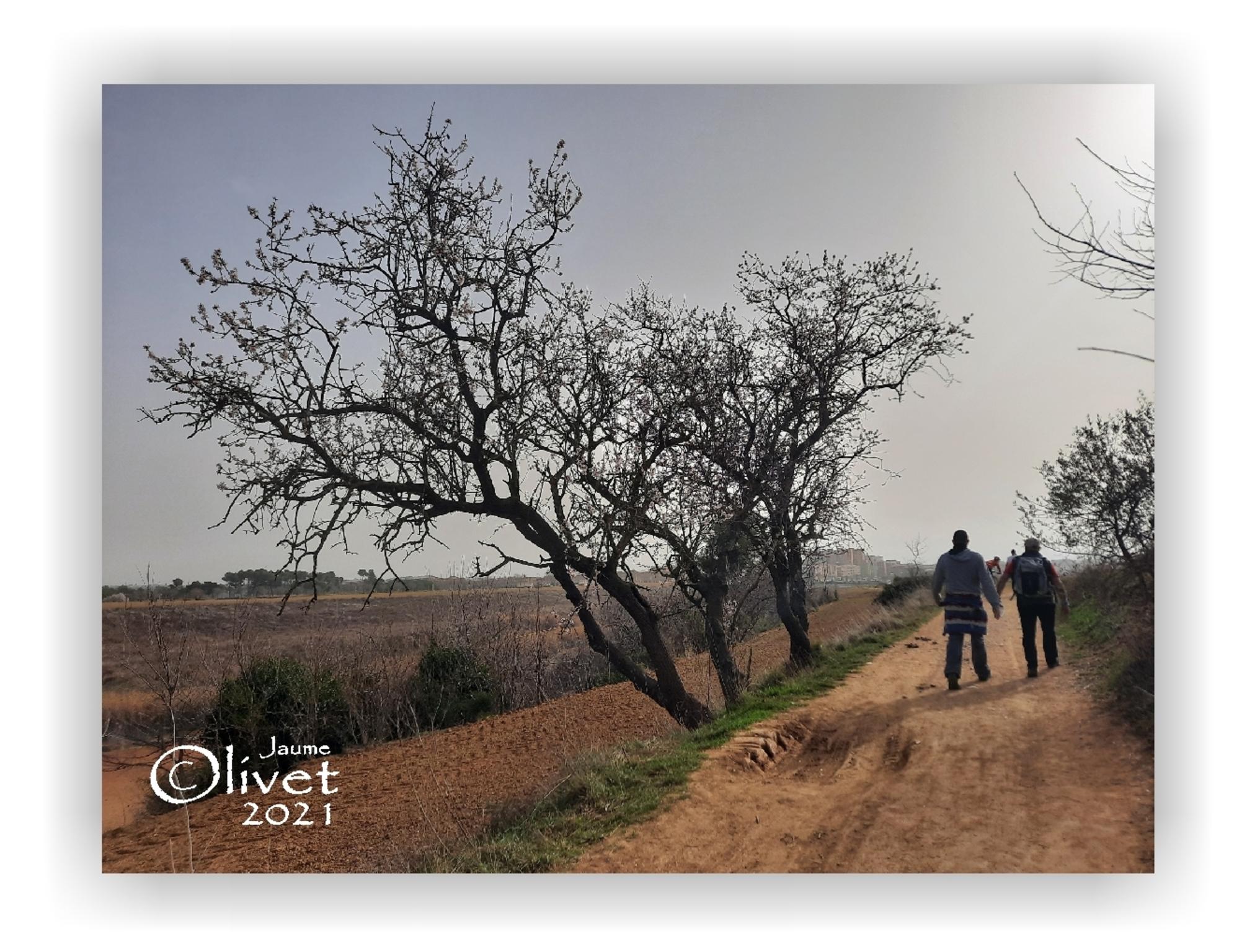  Jaume Olivet 2021