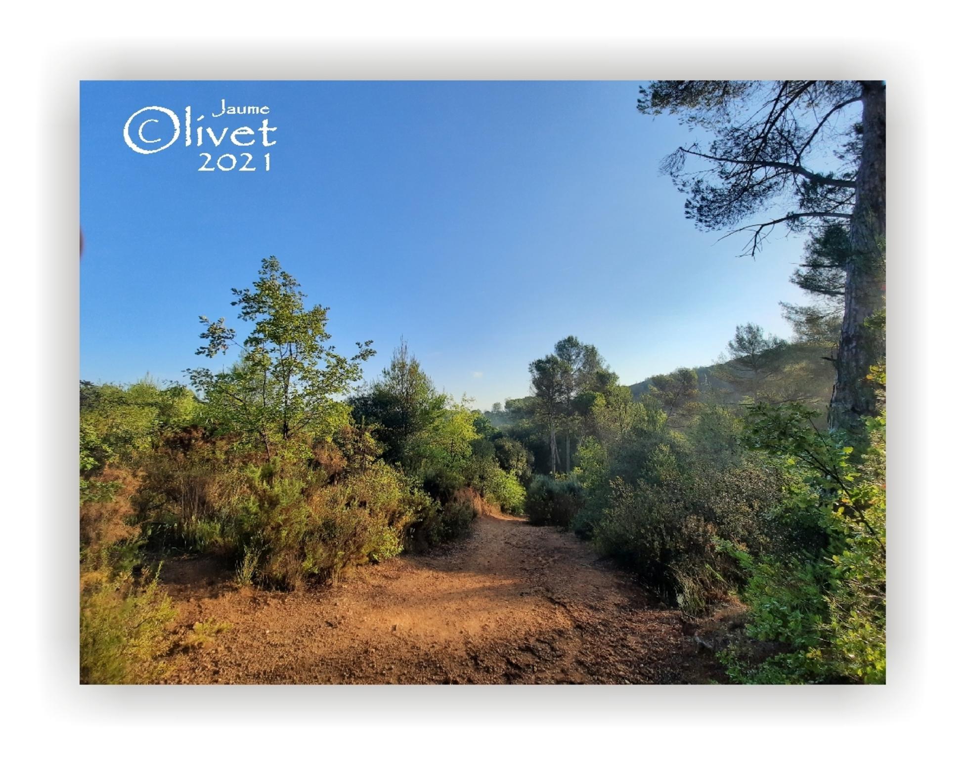  Jaume Olivet 2021