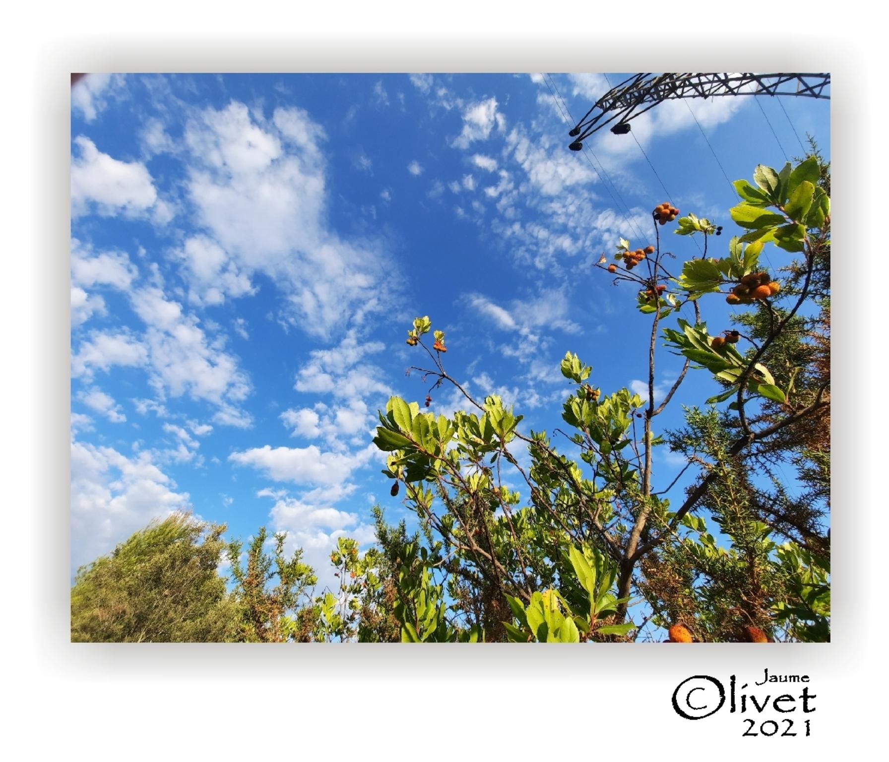  Jaume Olivet 2021