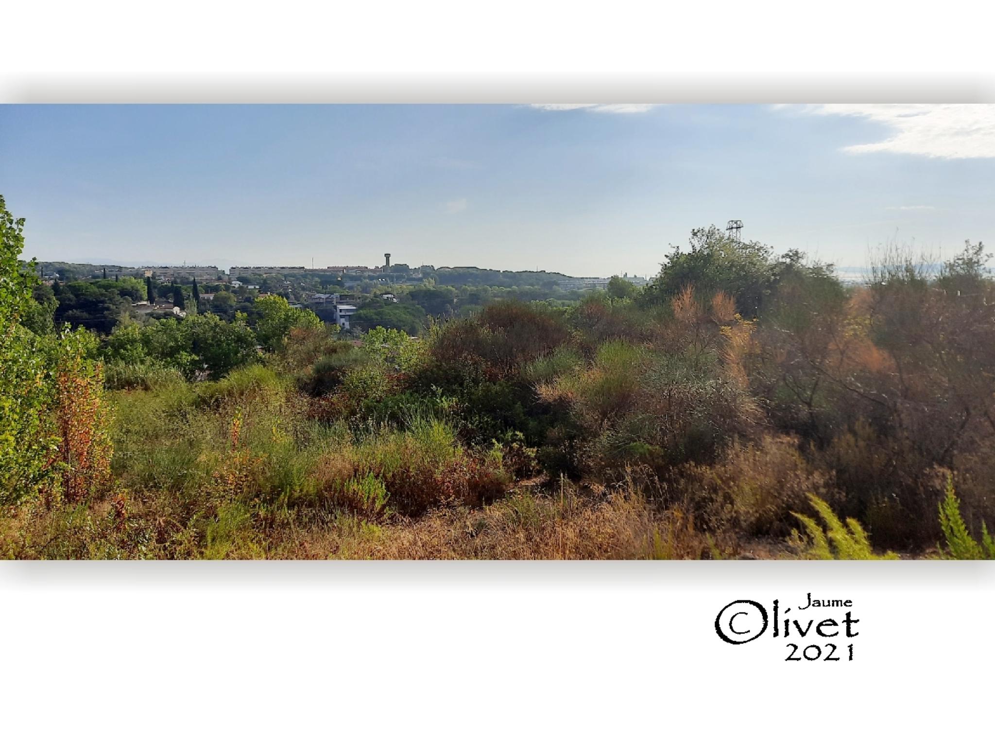  Jaume Olivet 2021