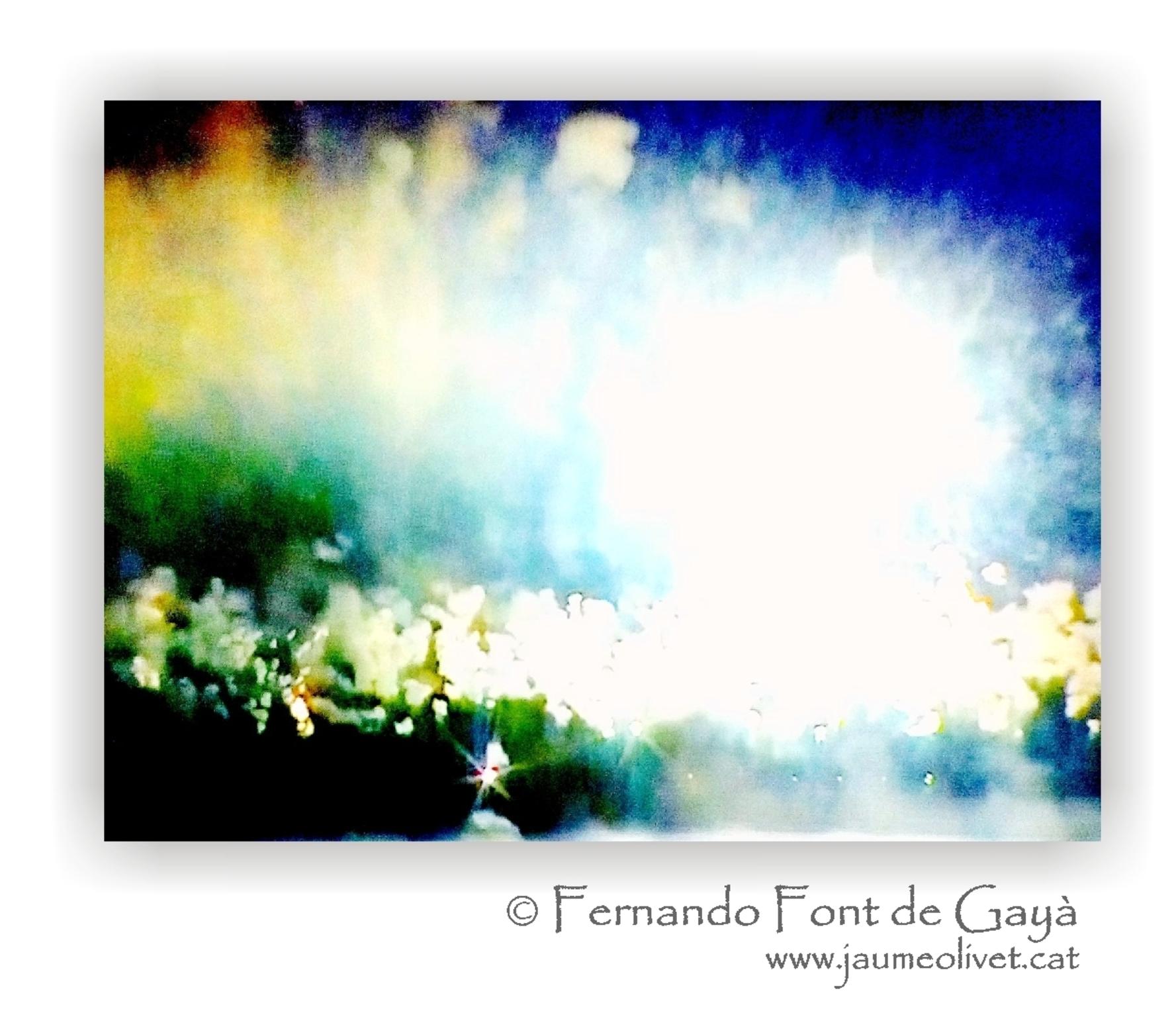  Fernando Font de Gay