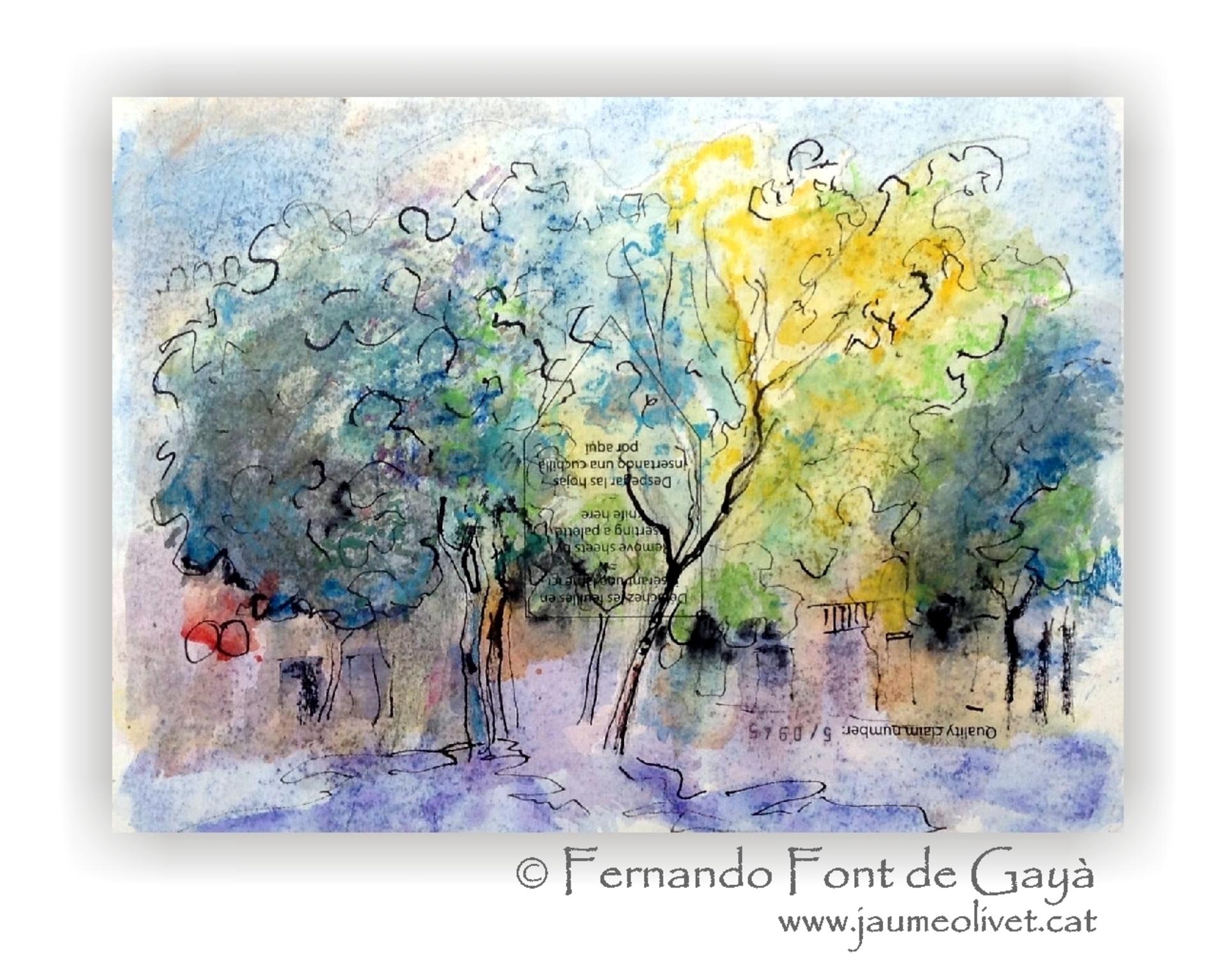  Fernando Font de Gay