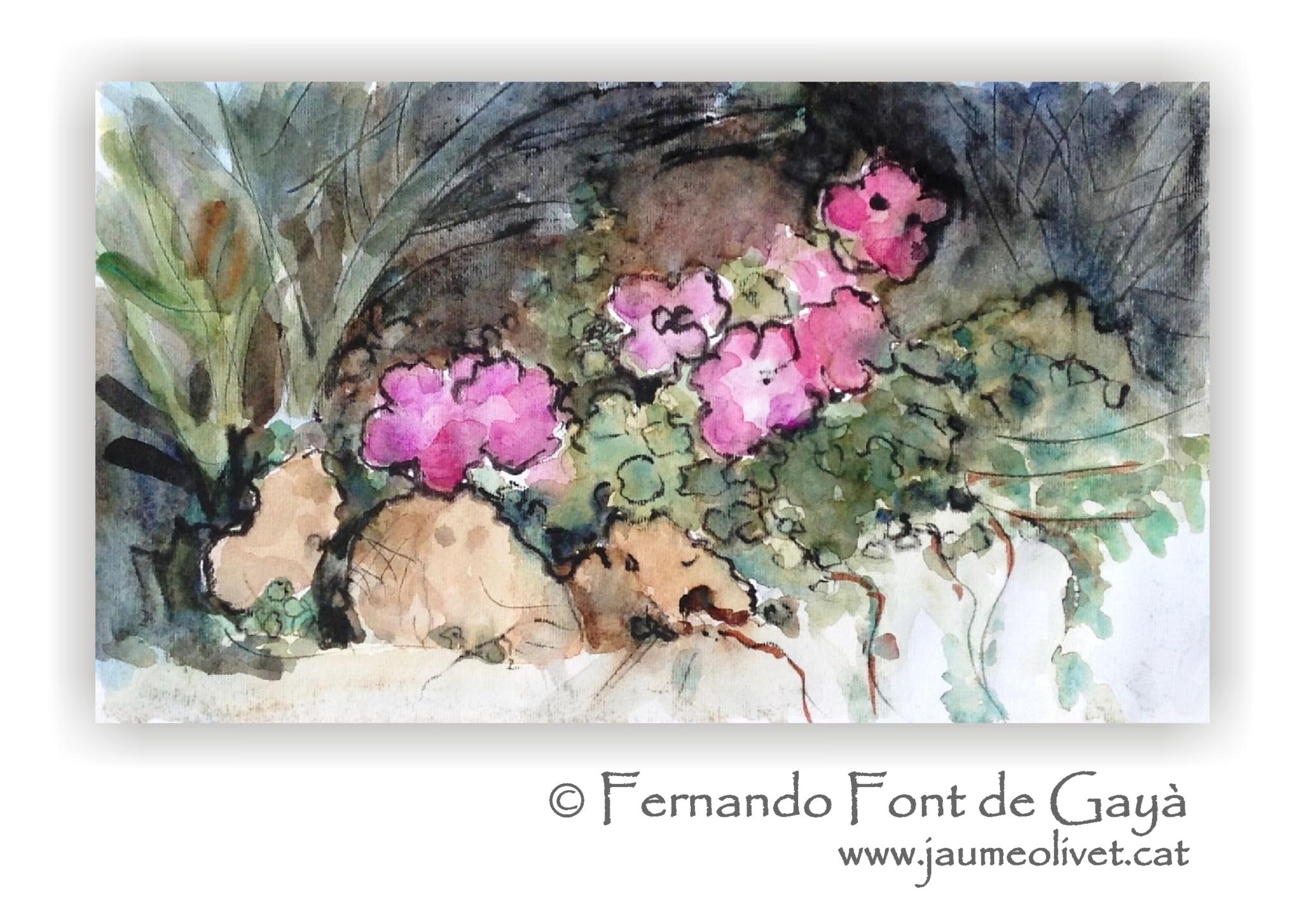  Fernando Font de Gay