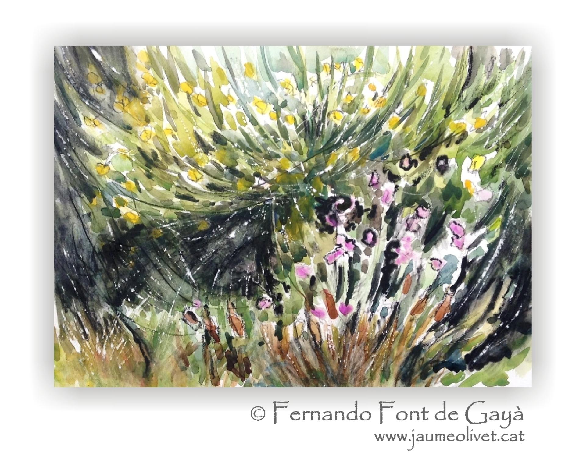  Fernando Font de Gay