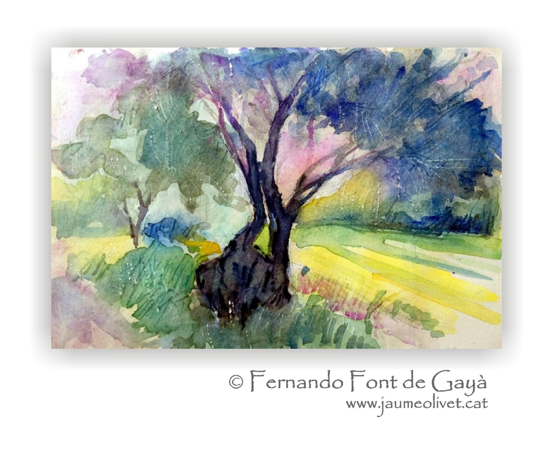  Fernando Font de Gay