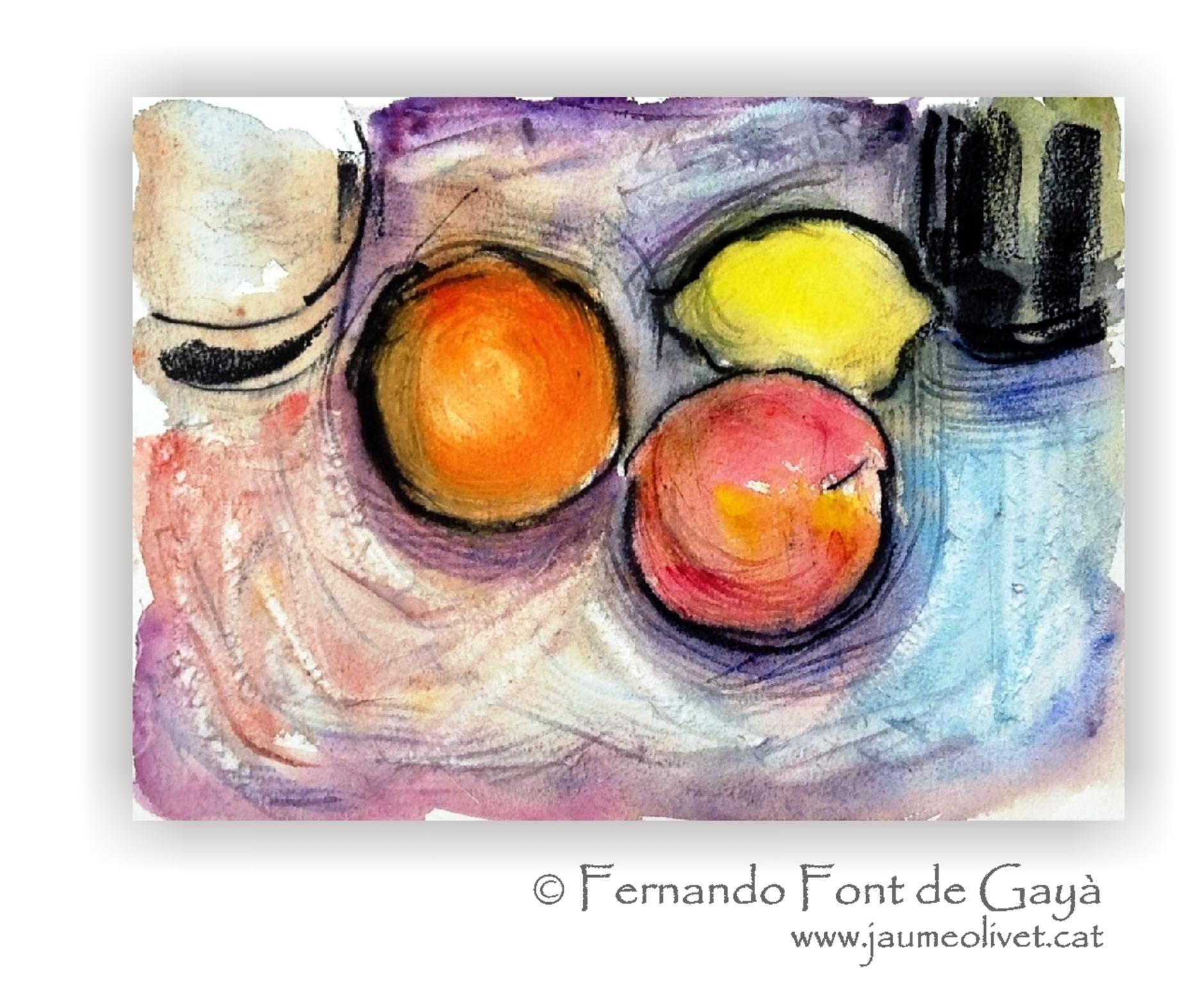  Fernando Font de Gay
