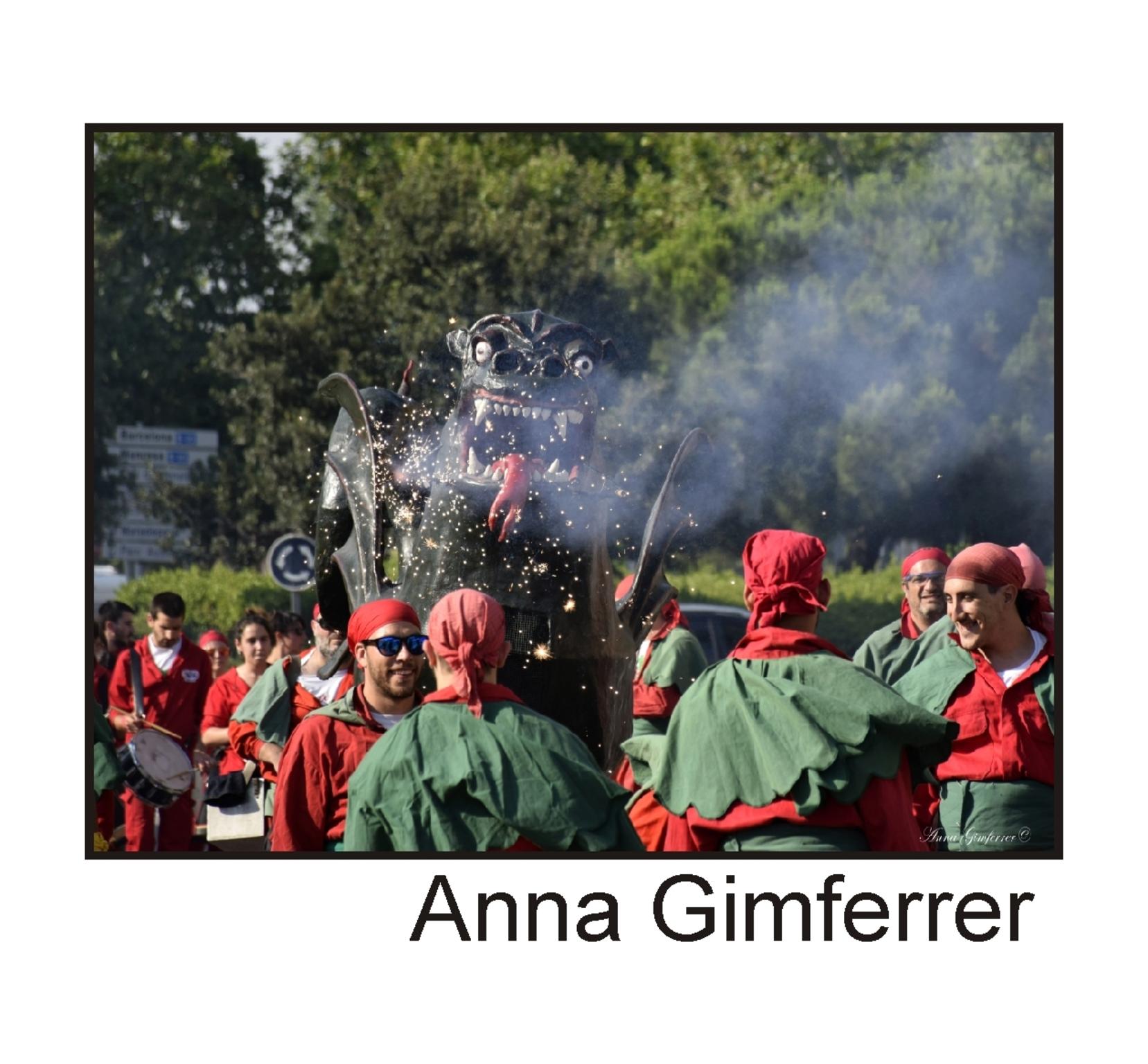  Anna gimferrer