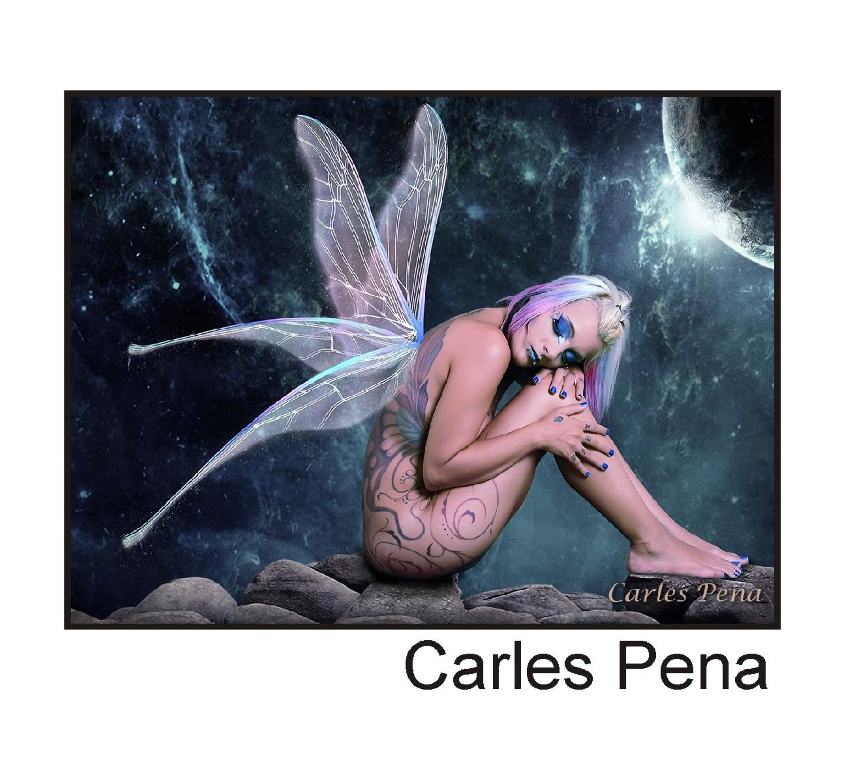  Carles Pena
