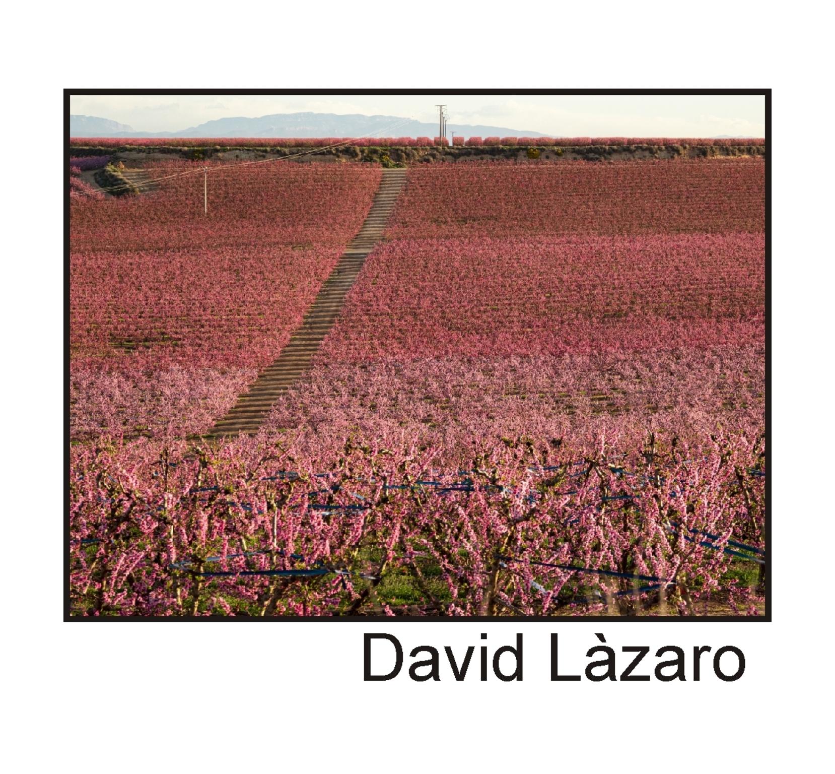  David Lzaro