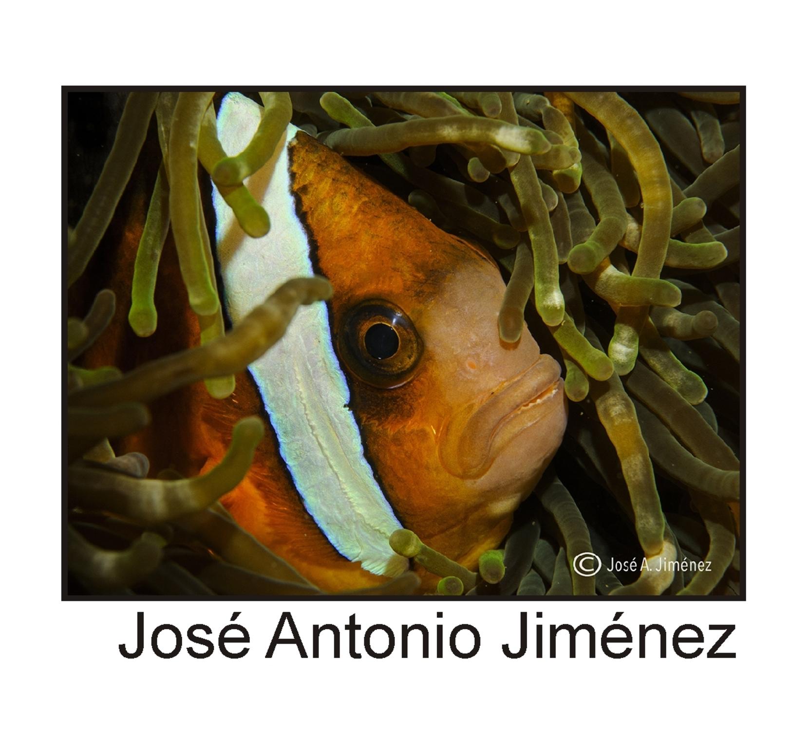  Jose A. Jimnez