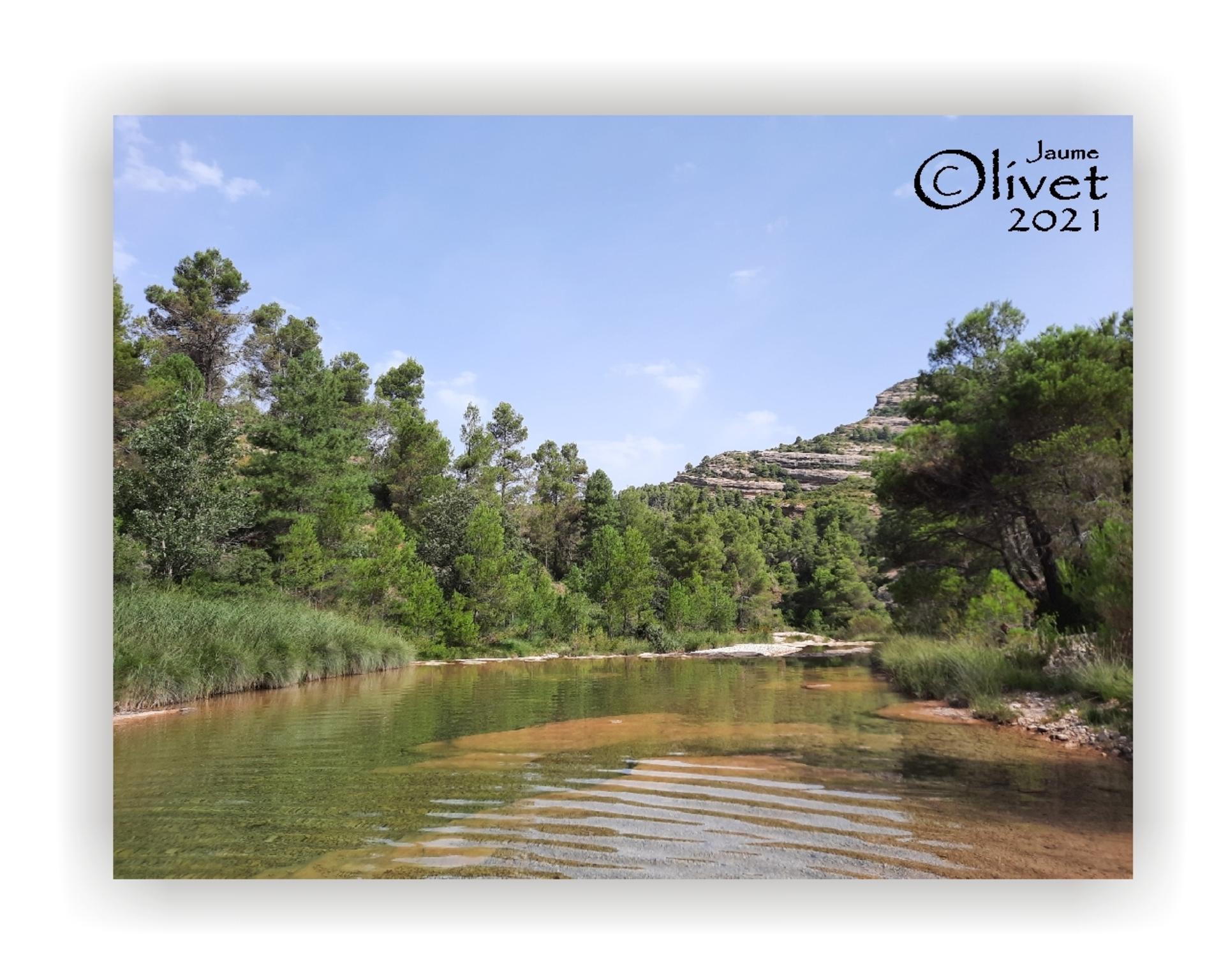  Jaume Olivet 2021