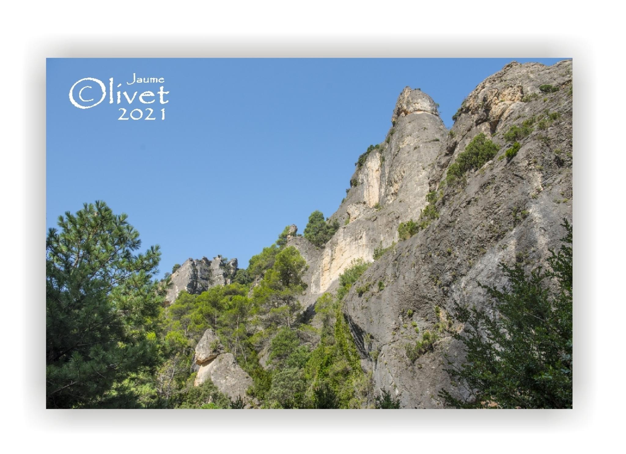  Jaume Olivet 2021