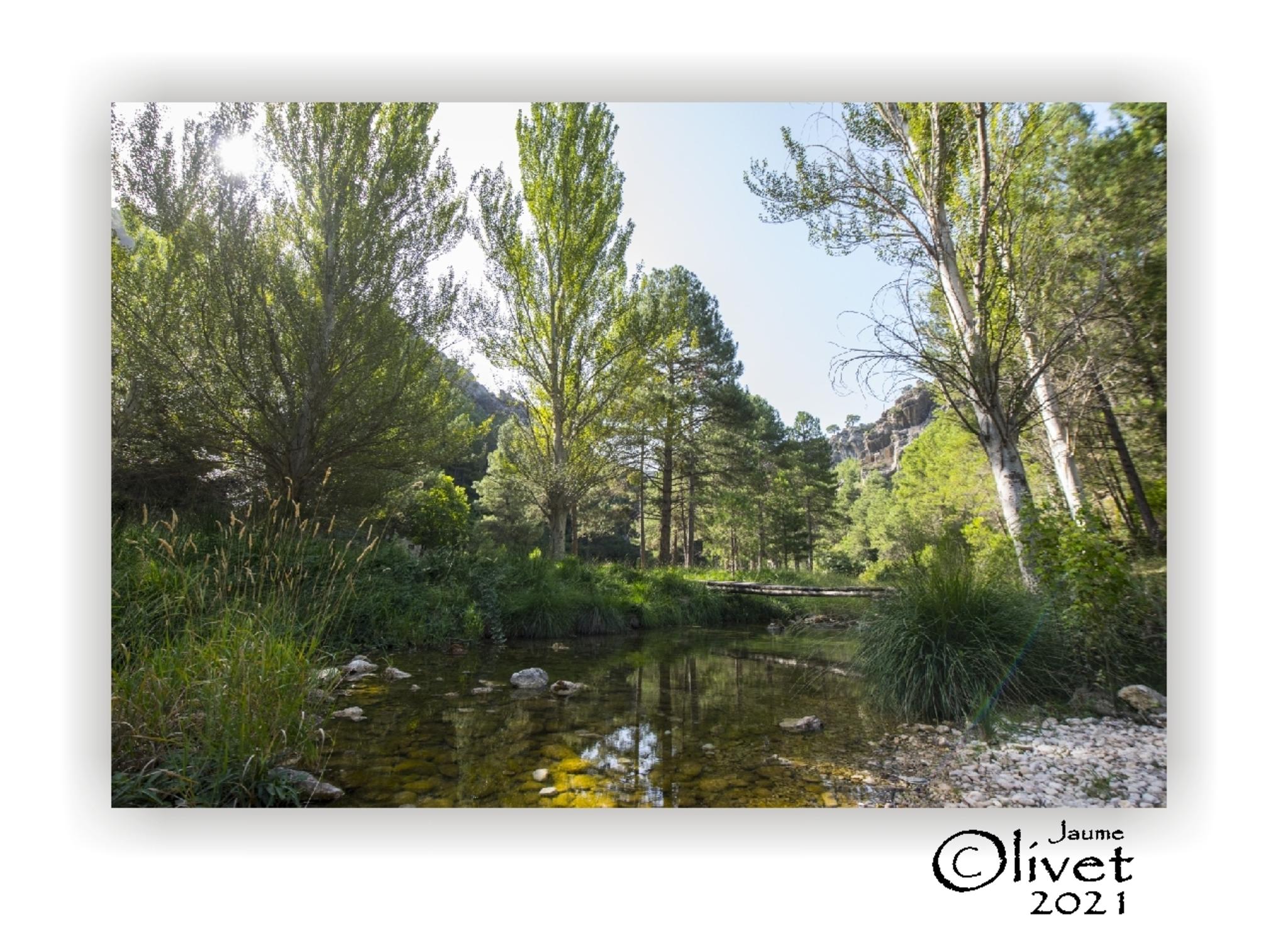  Jaume Olivet 2021