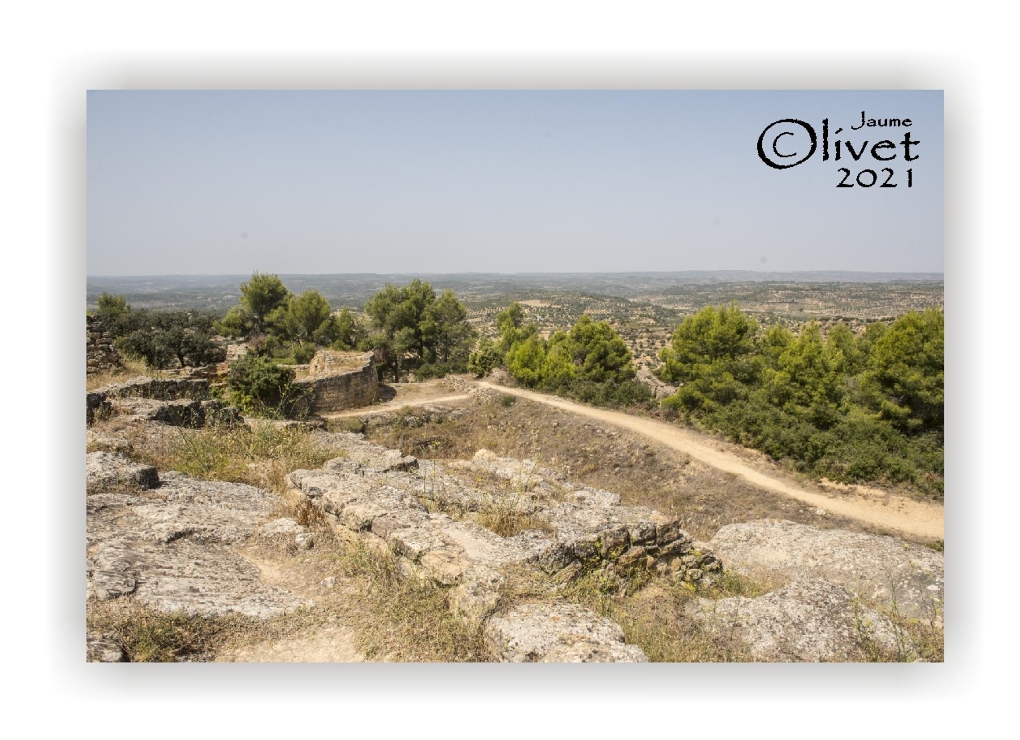  Jaume Olivet 2021