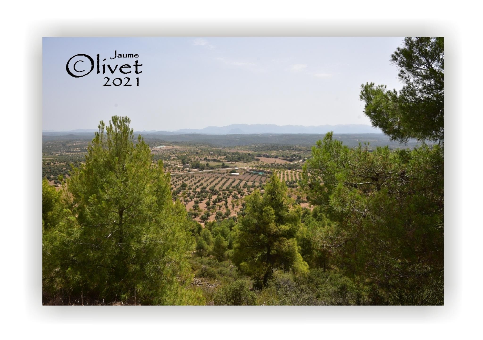  Jaume Olivet 2021