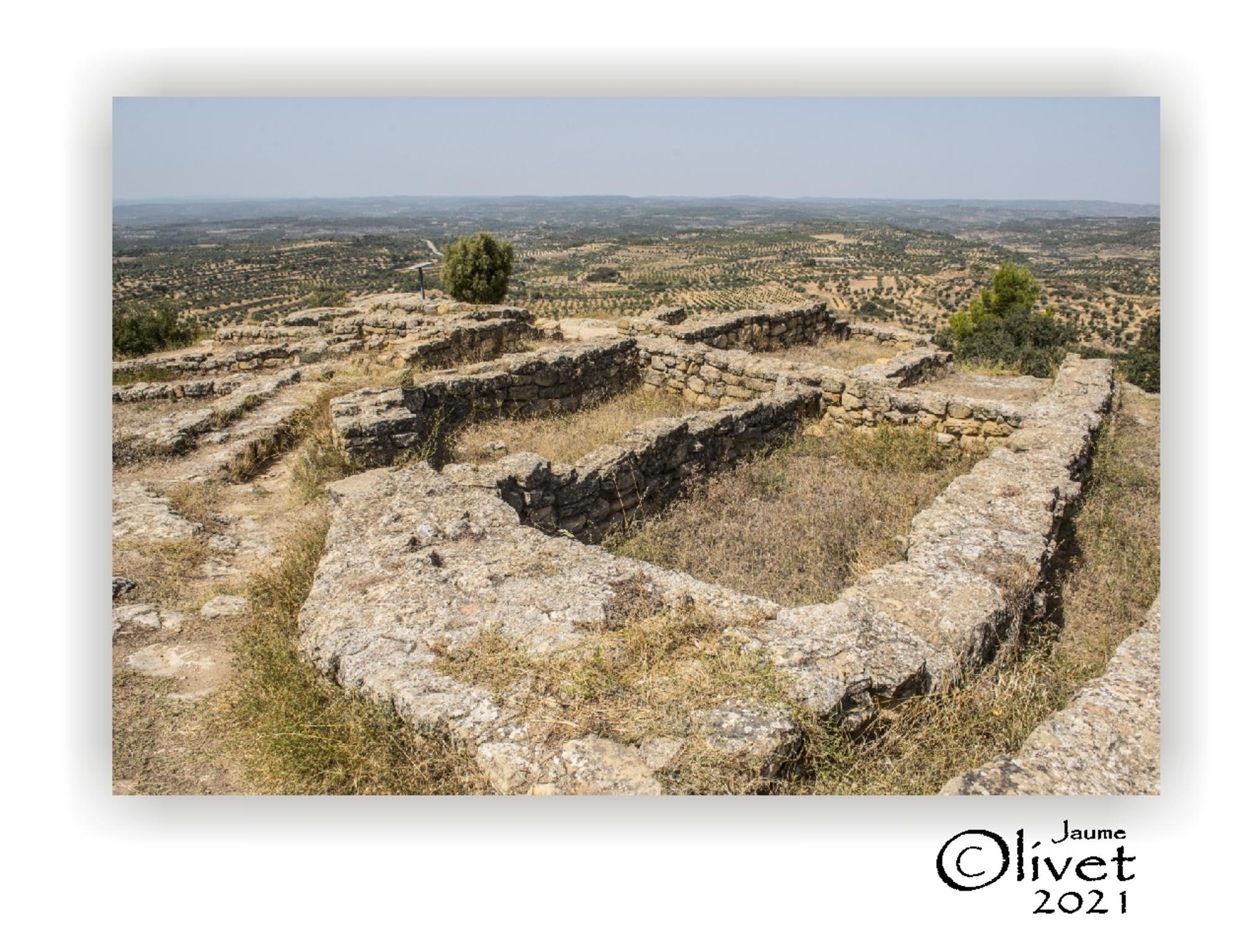  Jaume Olivet 2021
