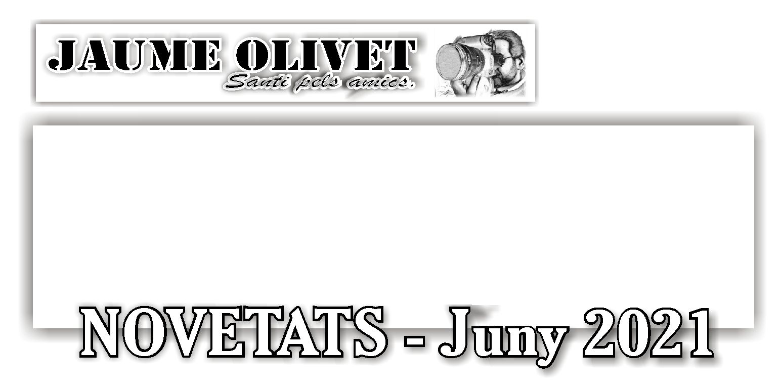  Jaume Olivet 2021