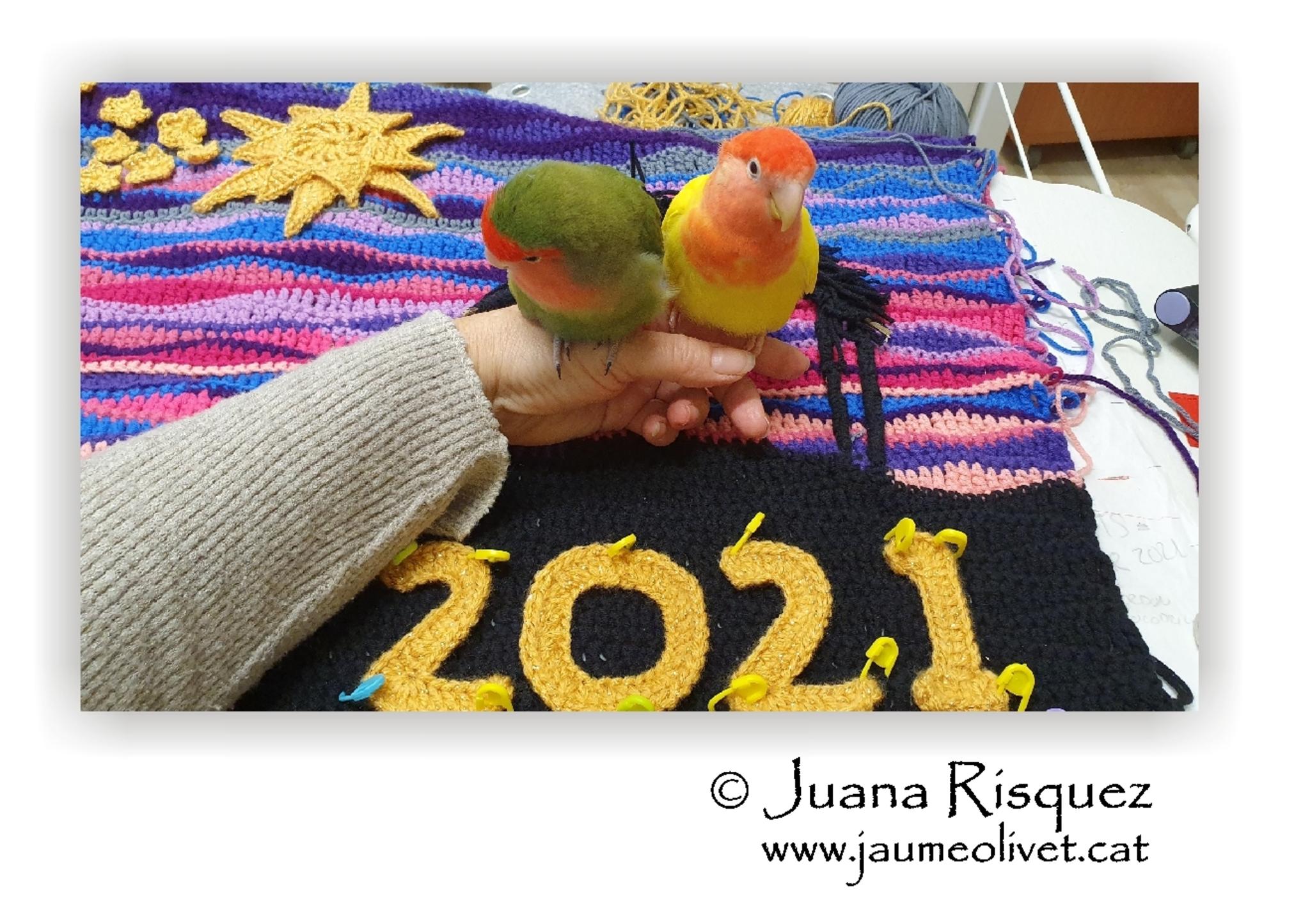  Jaume Olivet 2021