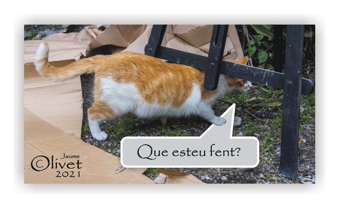  Jaume Olivet 2021