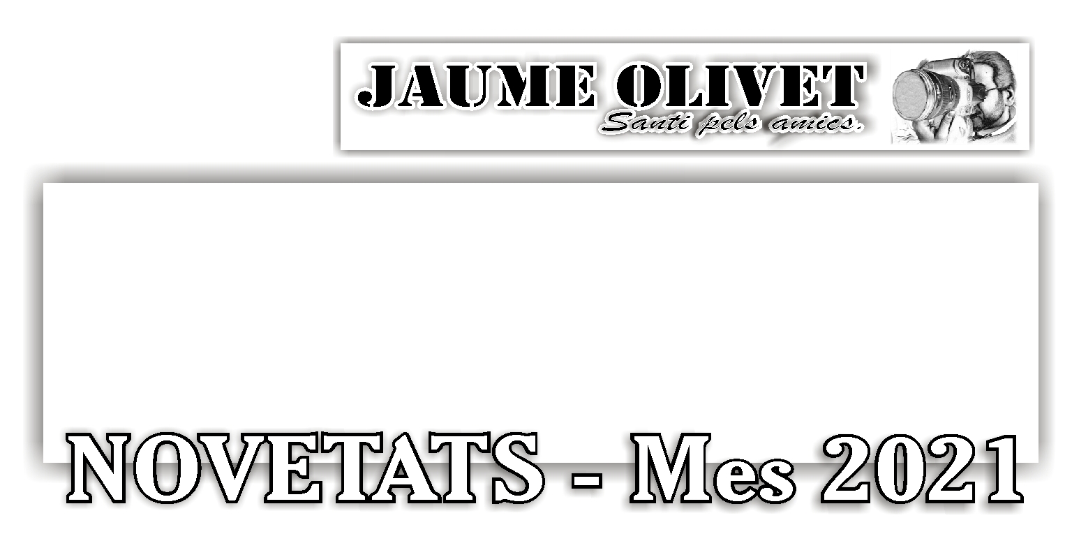  Jaume Olivet 2021