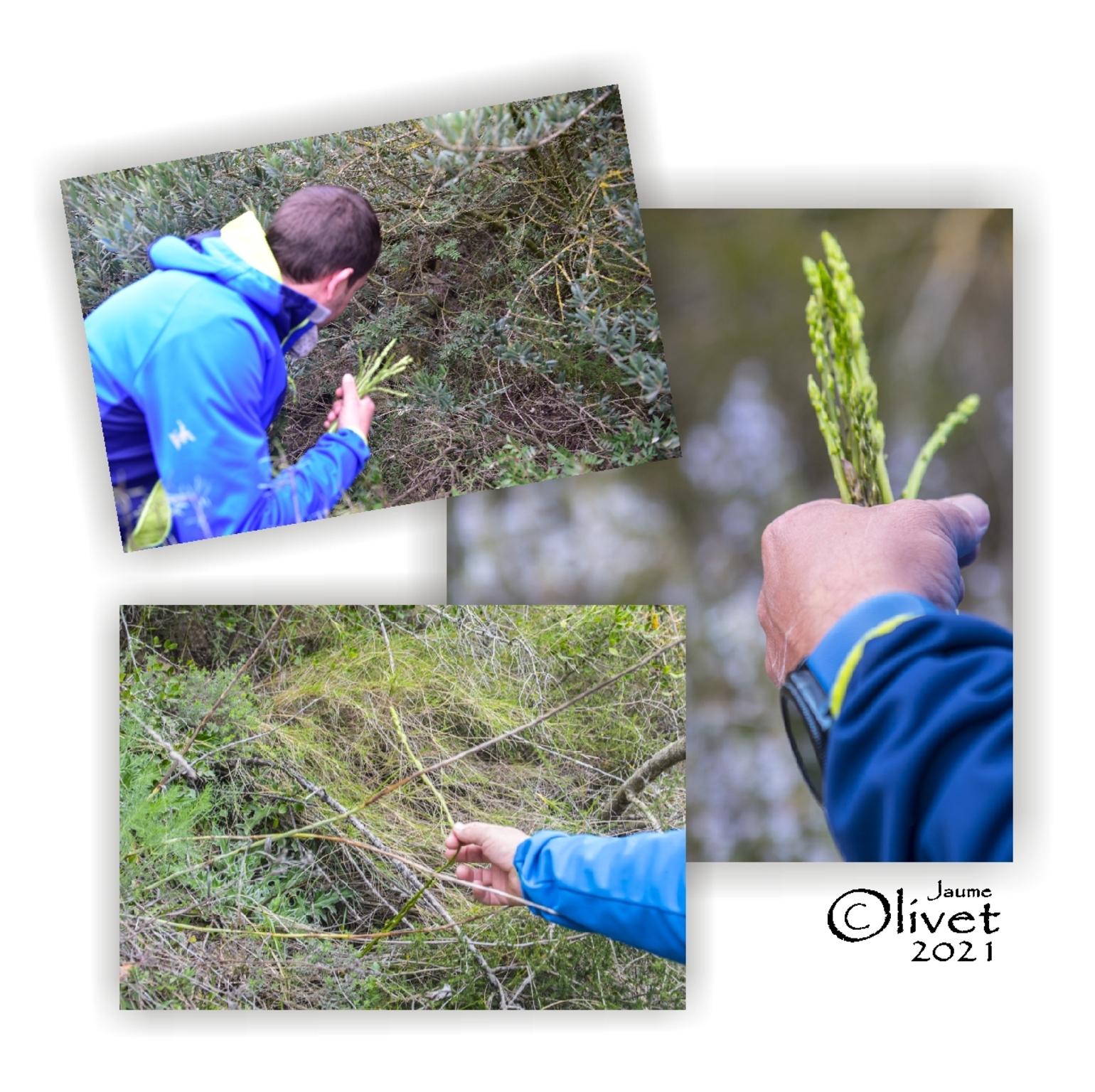  Jaume Olivet 2021