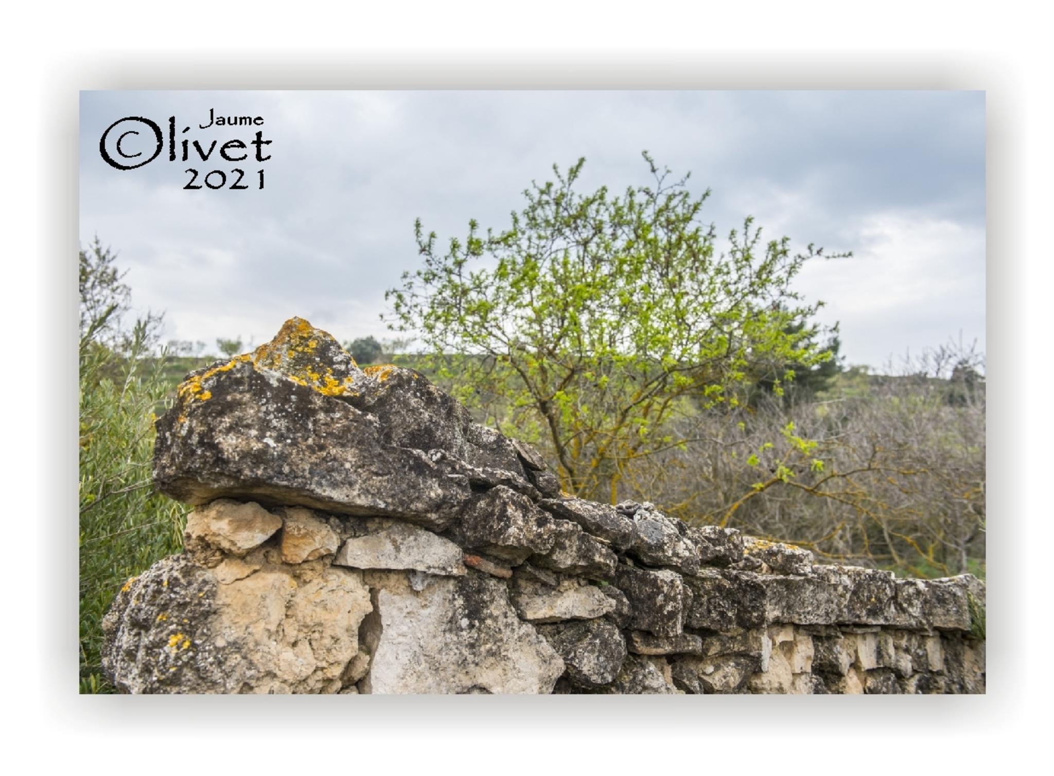  Jaume Olivet 2021