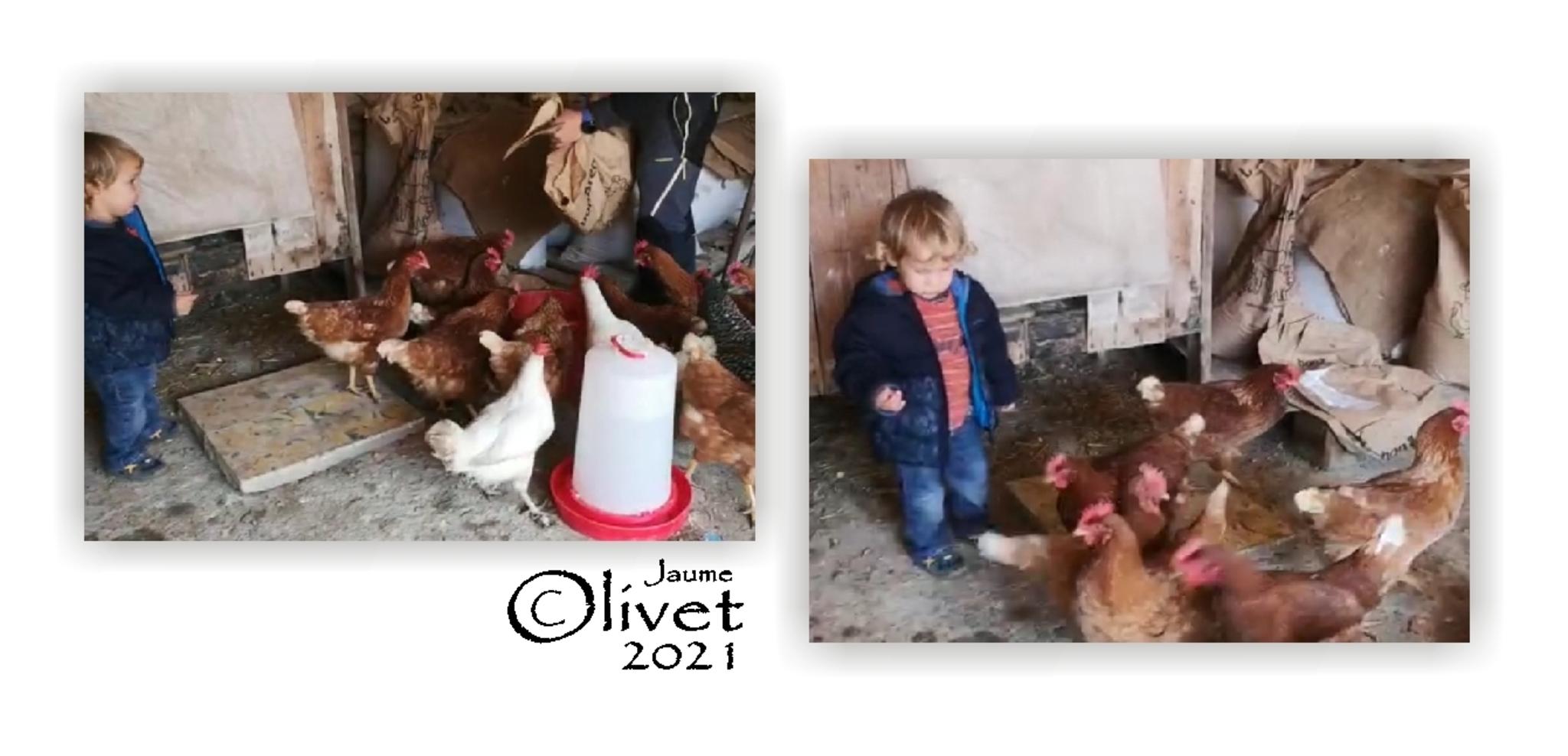  Jaume Olivet 2021