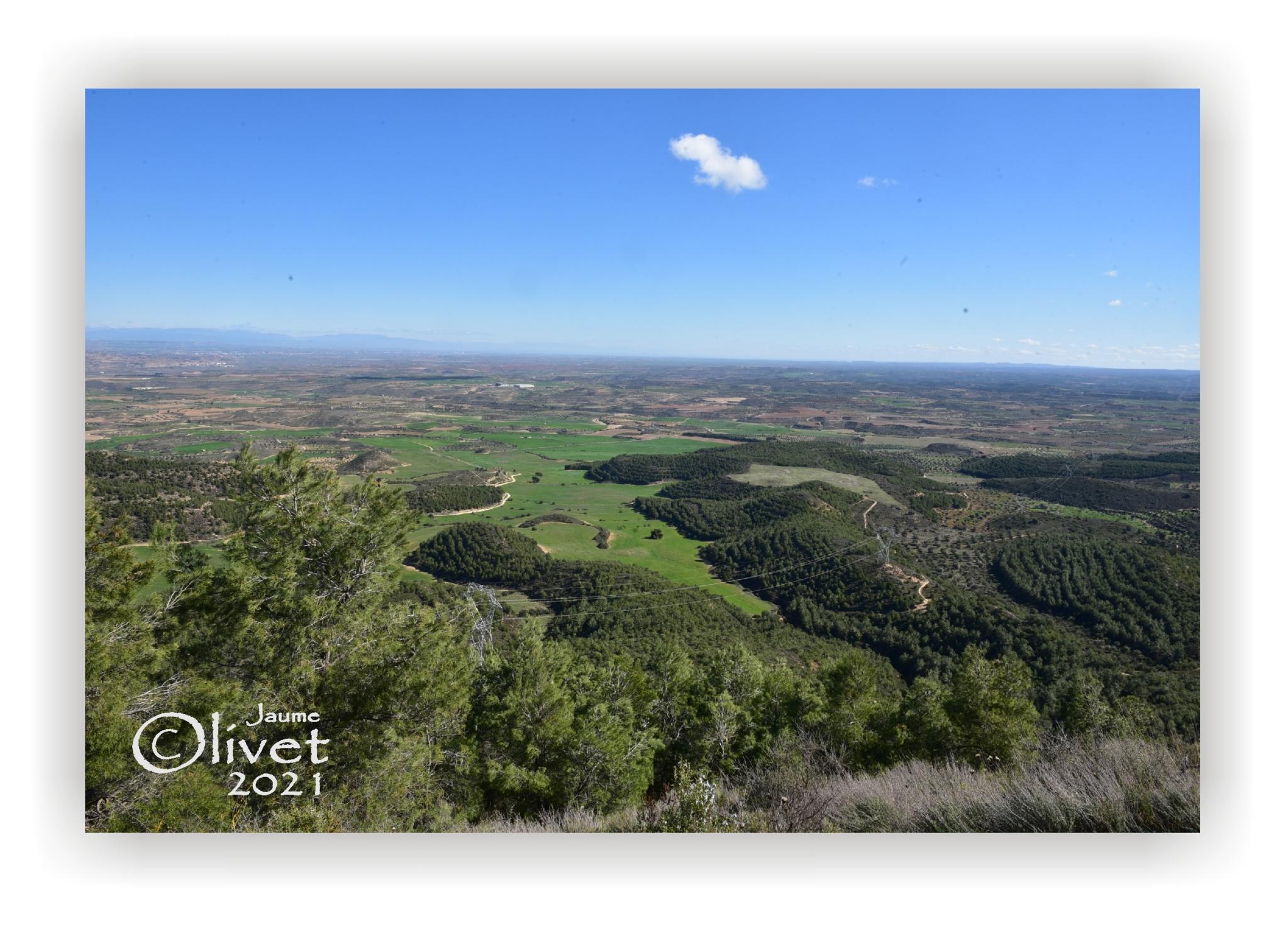  Jaume Olivet 2021