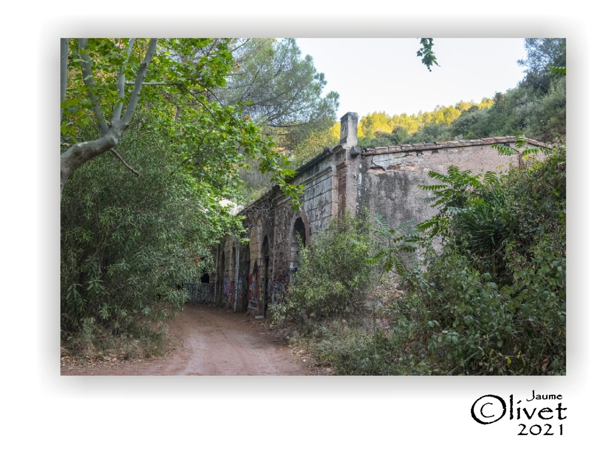  Jaume Olivet 2021