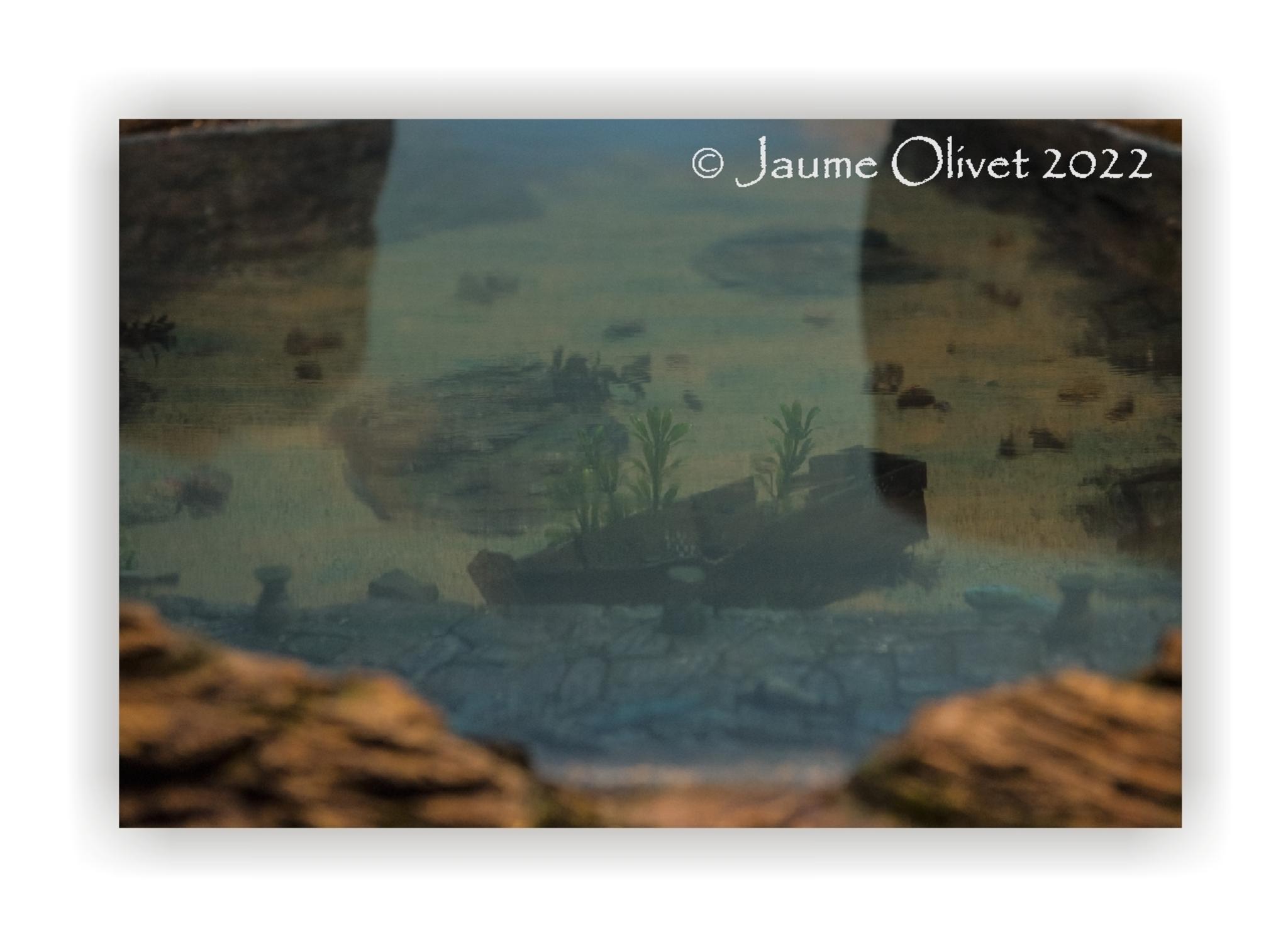  Jaume Olivet 2021