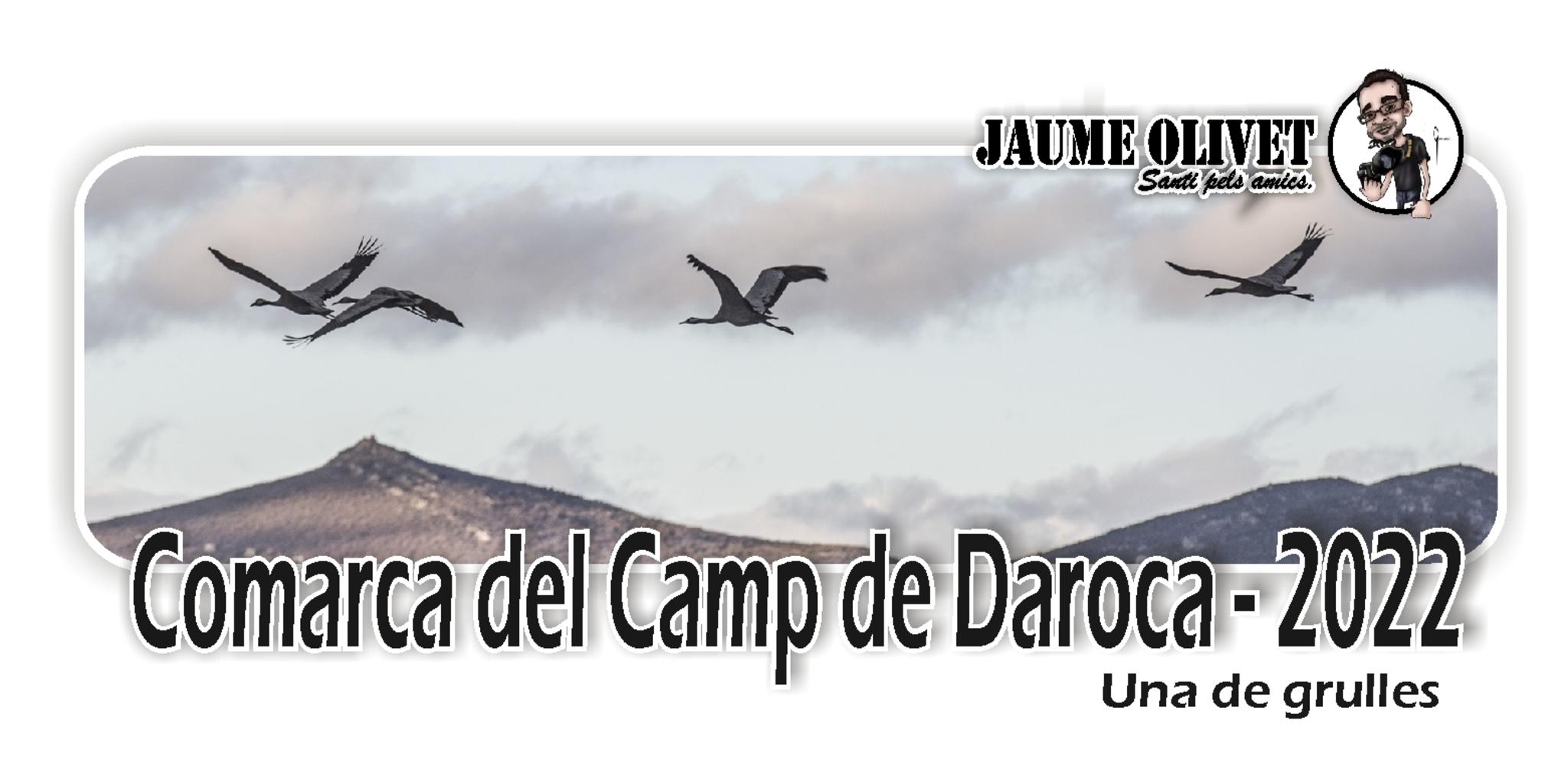  Jaume Olivet 2022