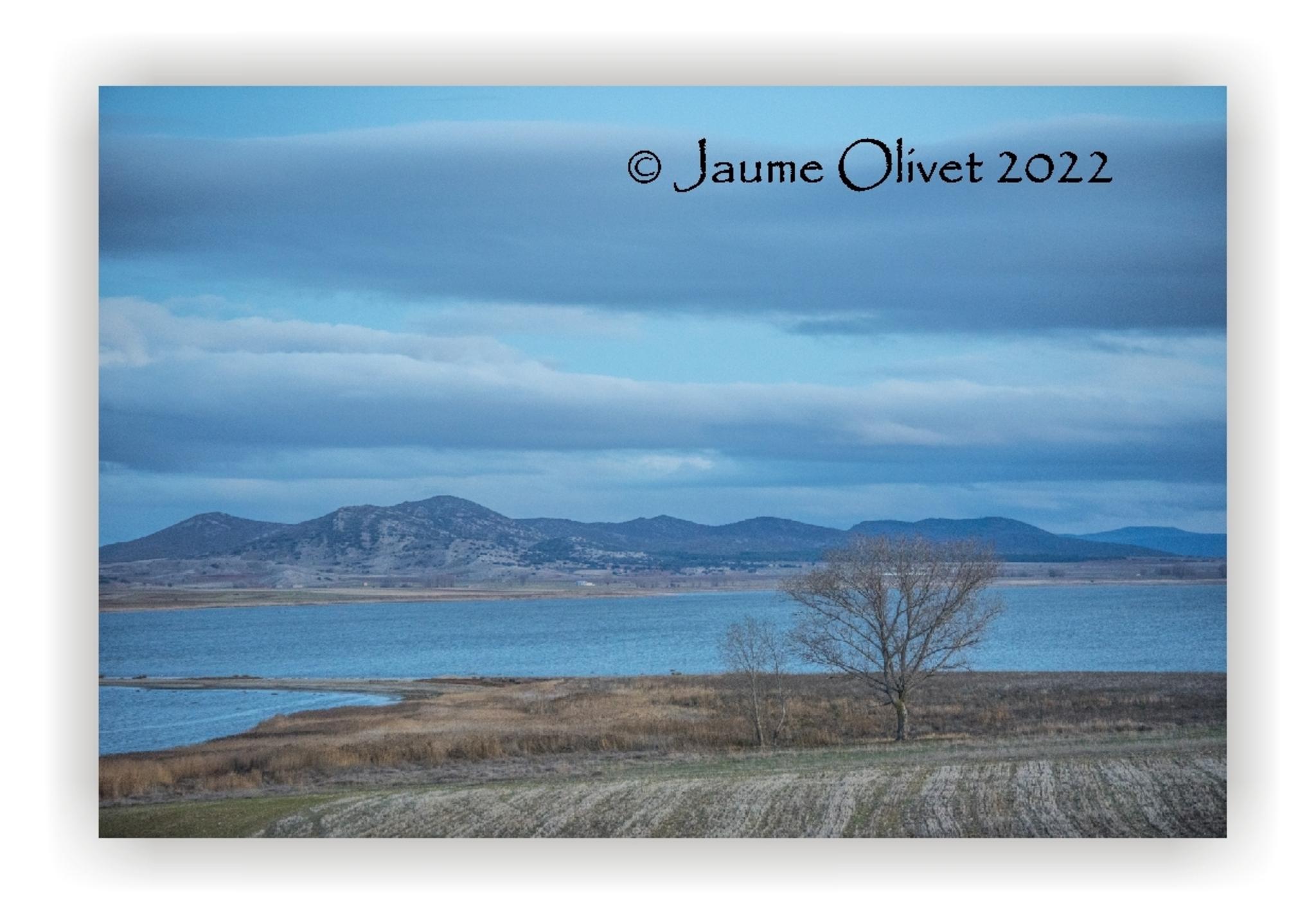  Jaume Olivet 2022