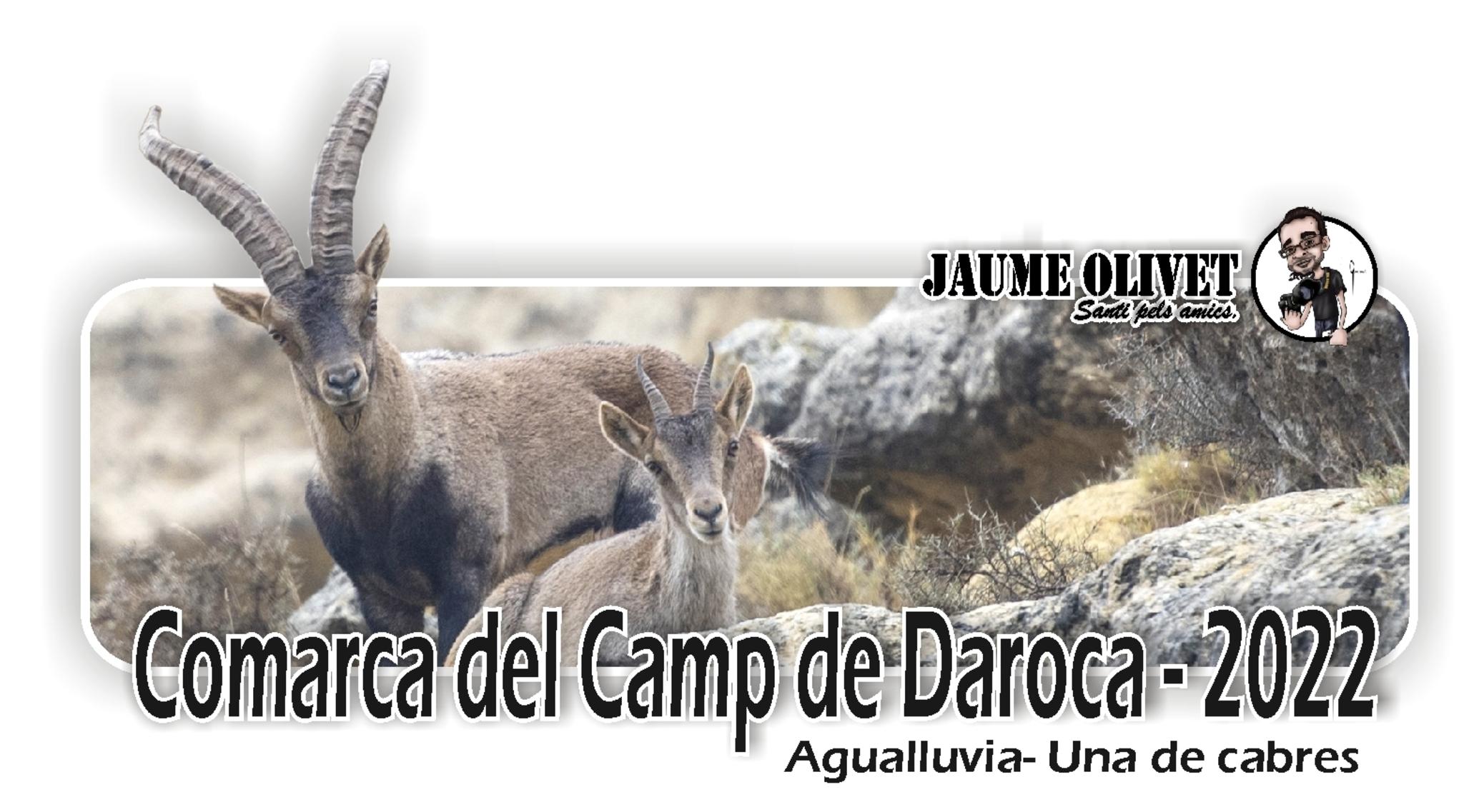 Jaume Olivet 2022