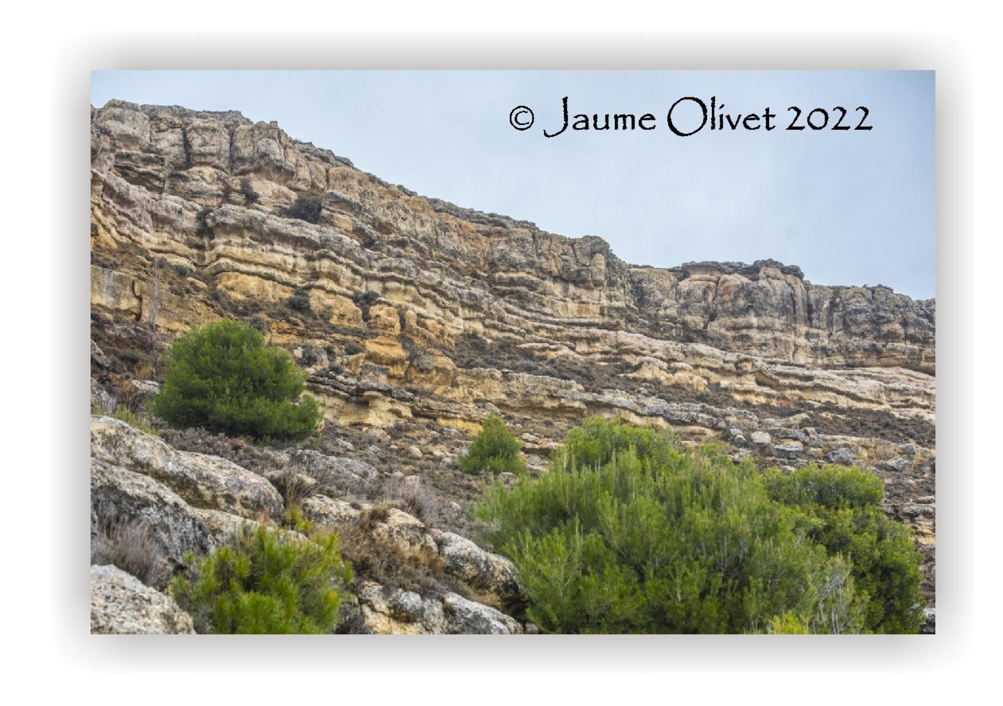  Jaume Olivet 2022