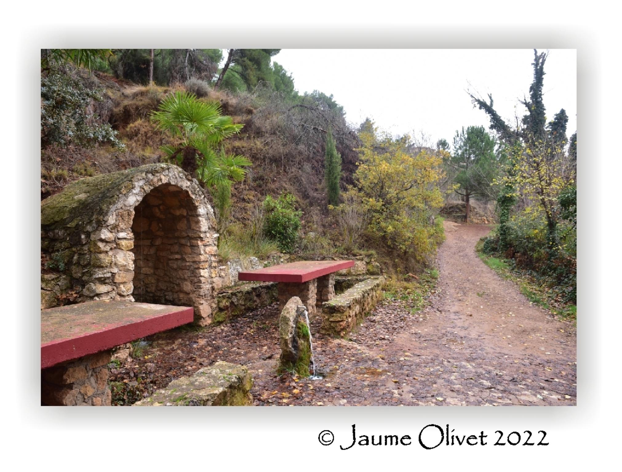  Jaume Olivet 2022