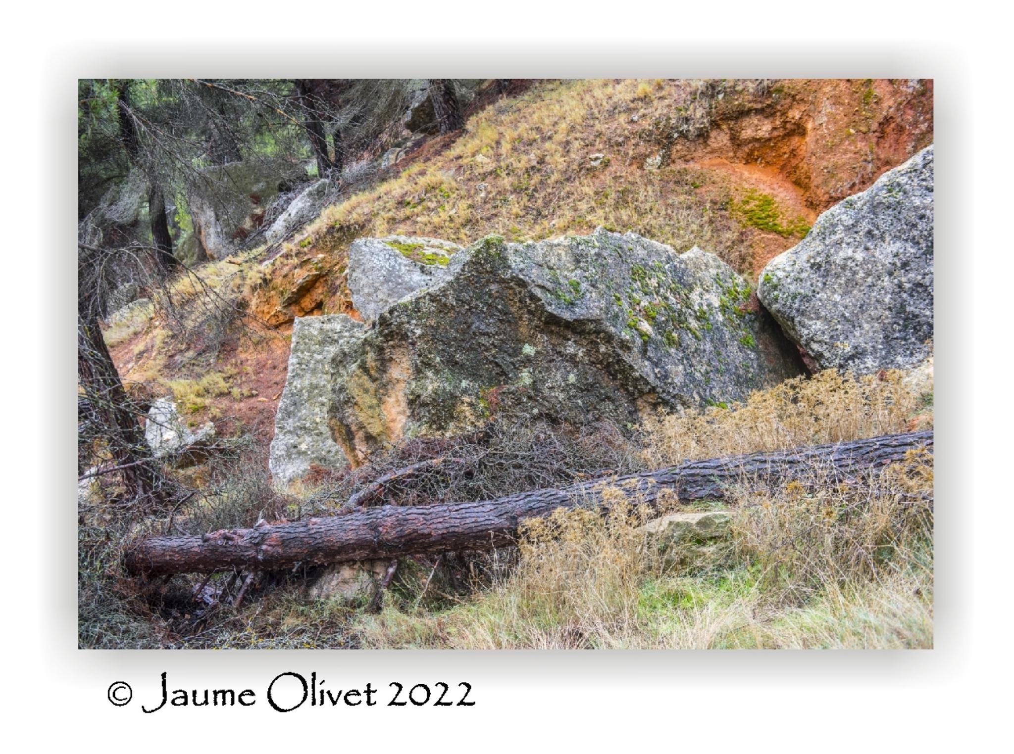 Jaume Olivet 2022