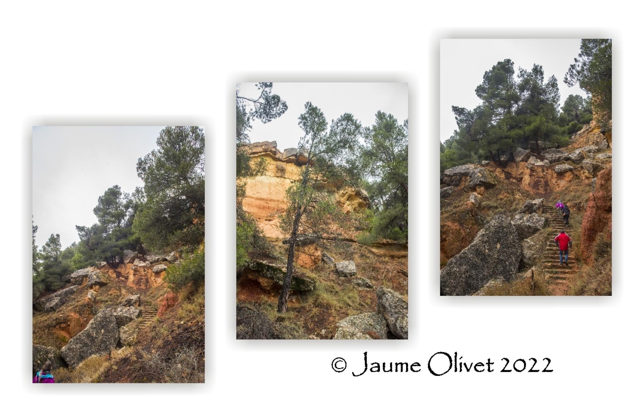  Jaume Olivet 2022