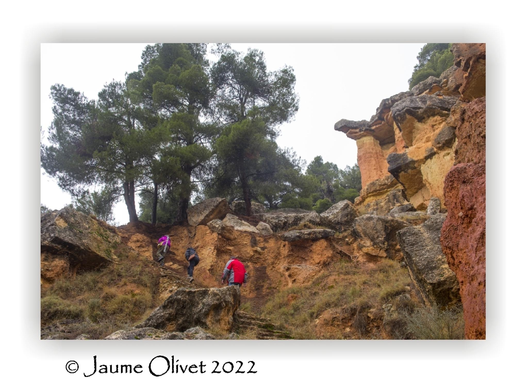  Jaume Olivet 2022
